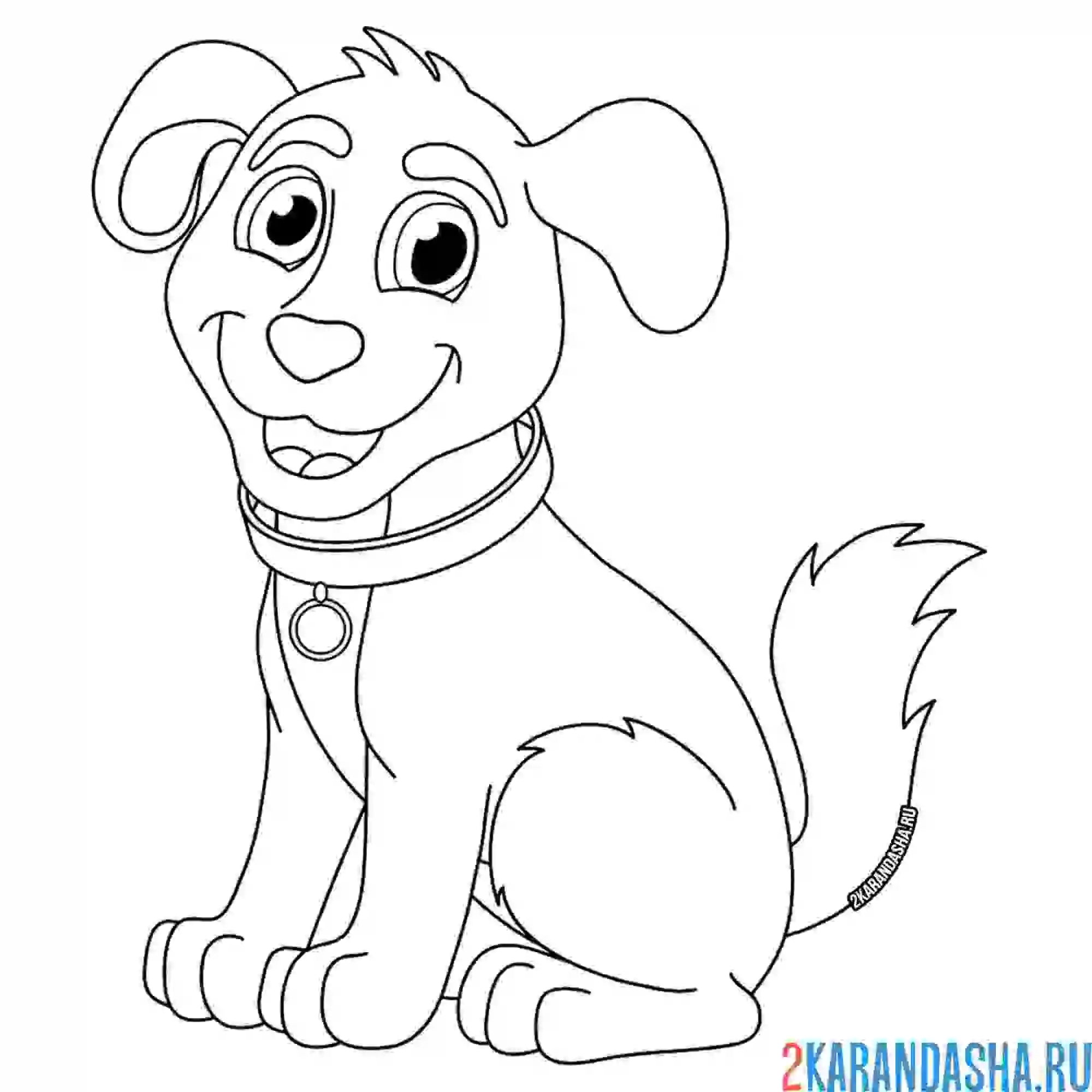 Раскраска красивый щенок