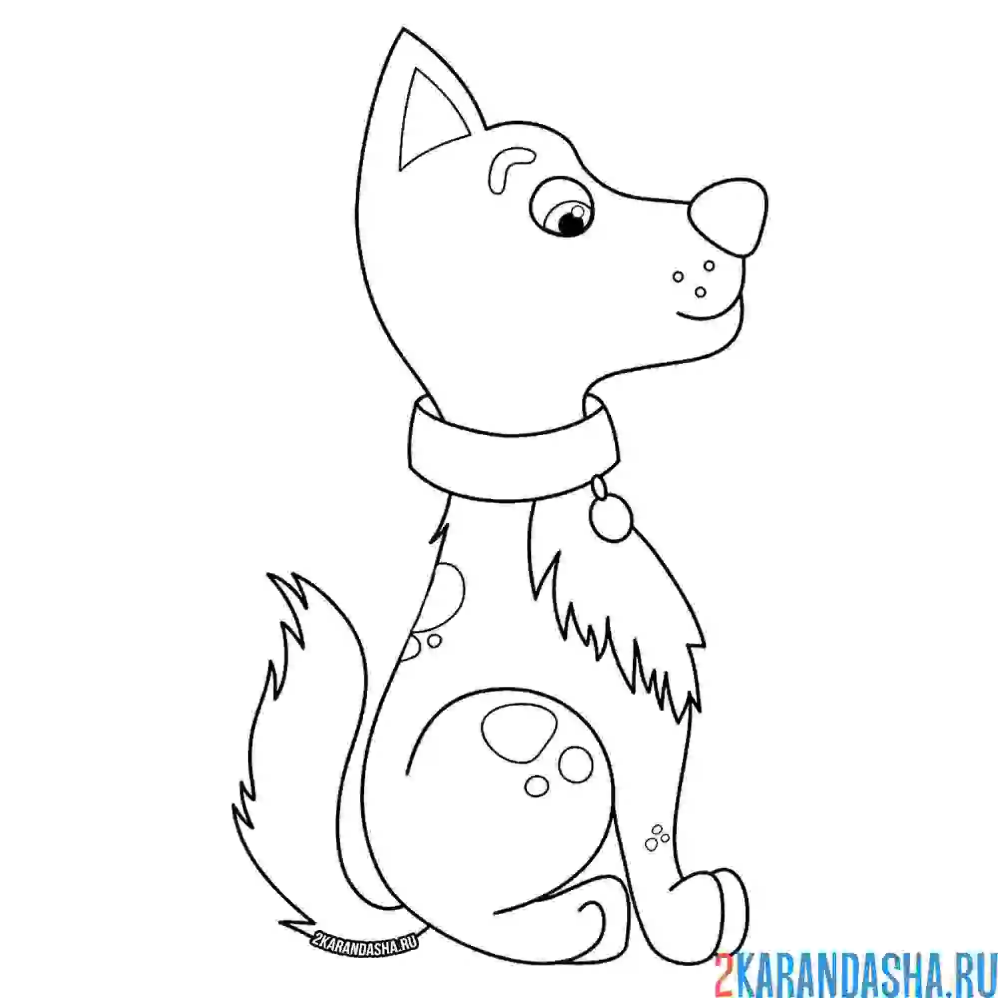 Раскраска послушная собака