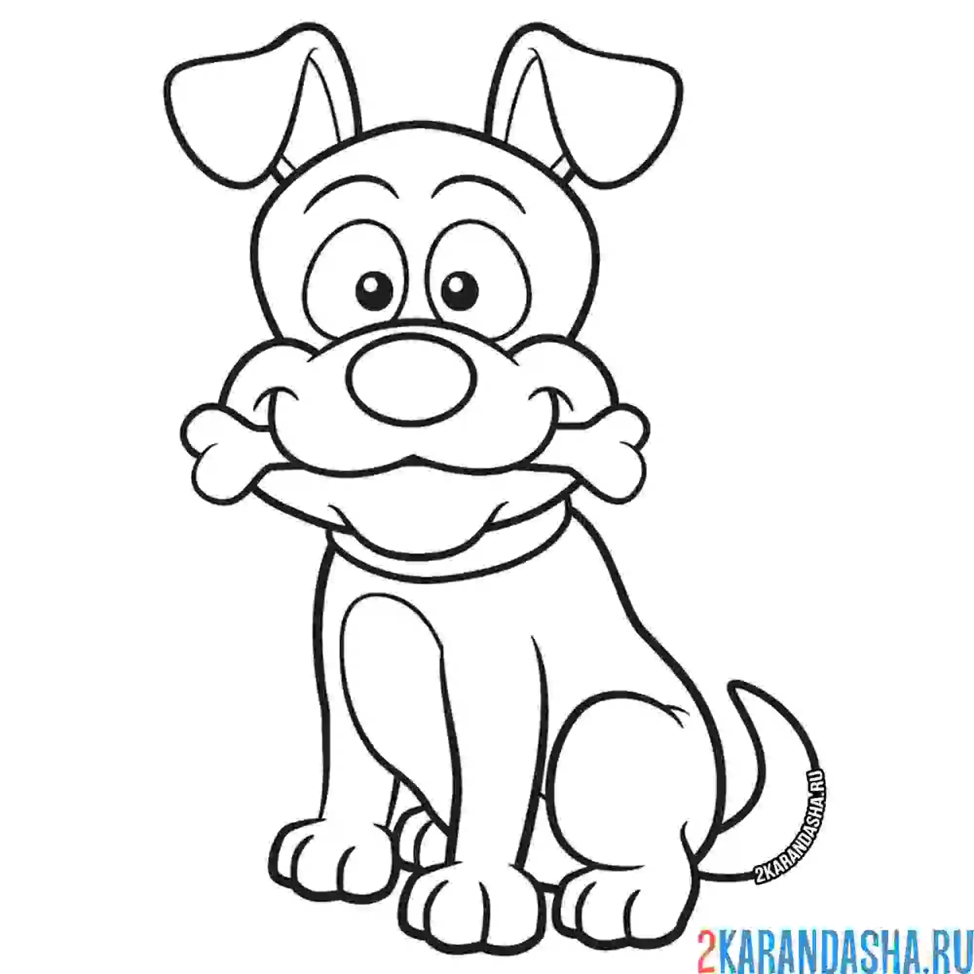 Раскраска собачка с косточкой