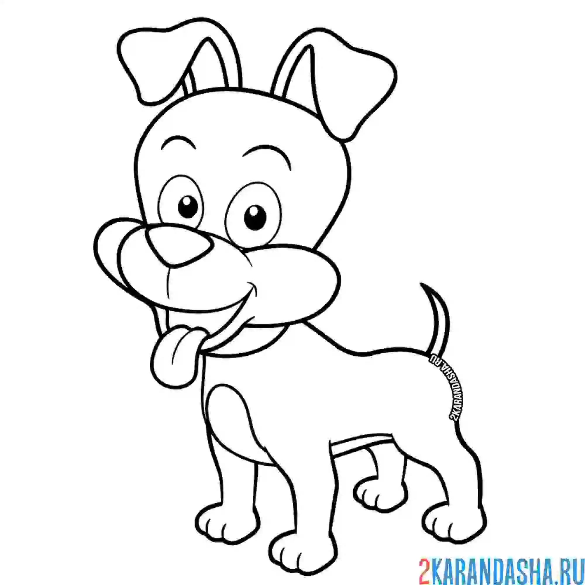 Раскраска милая собачка