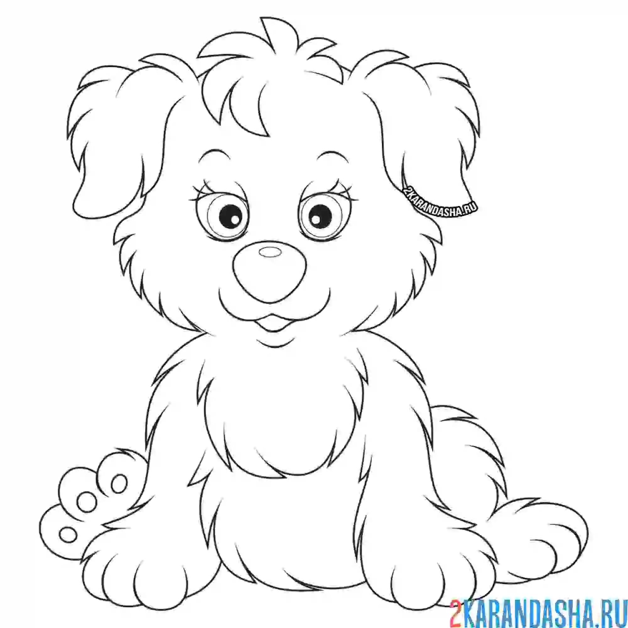 Раскраска собака