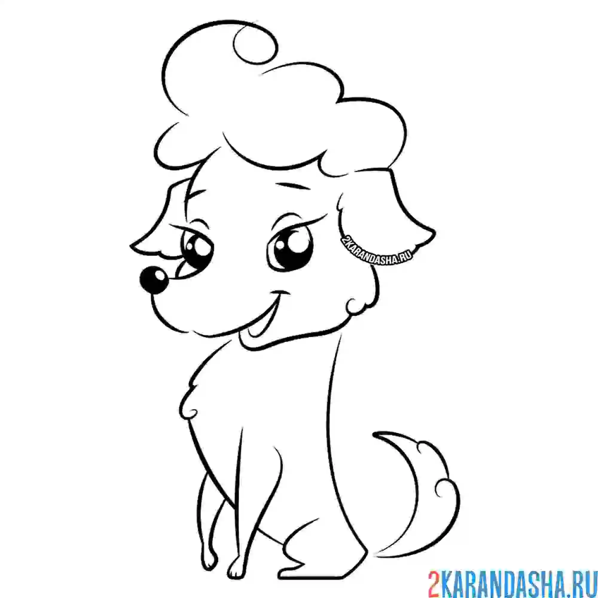 Раскраска стройная собачка