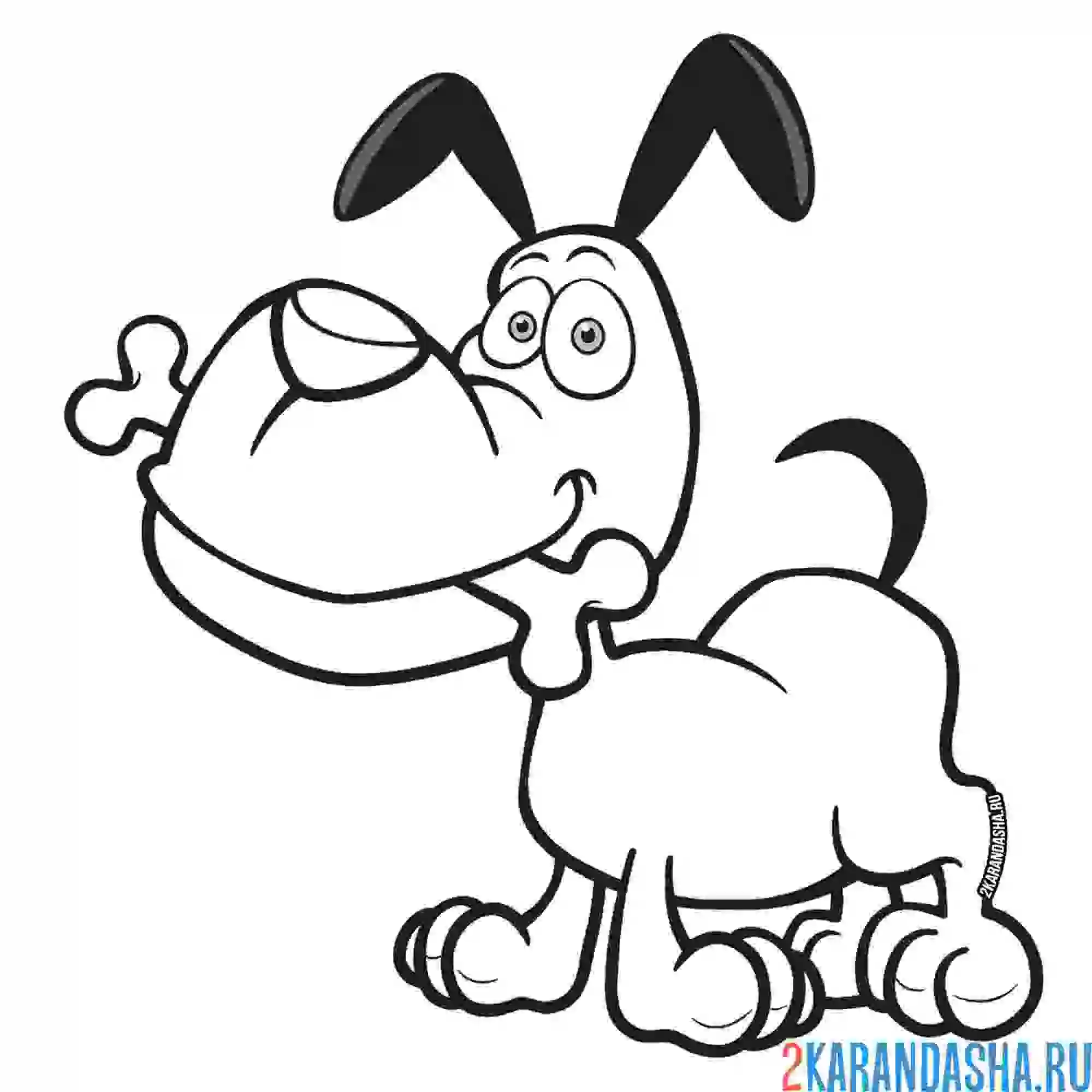 Раскраска собачка и косточка