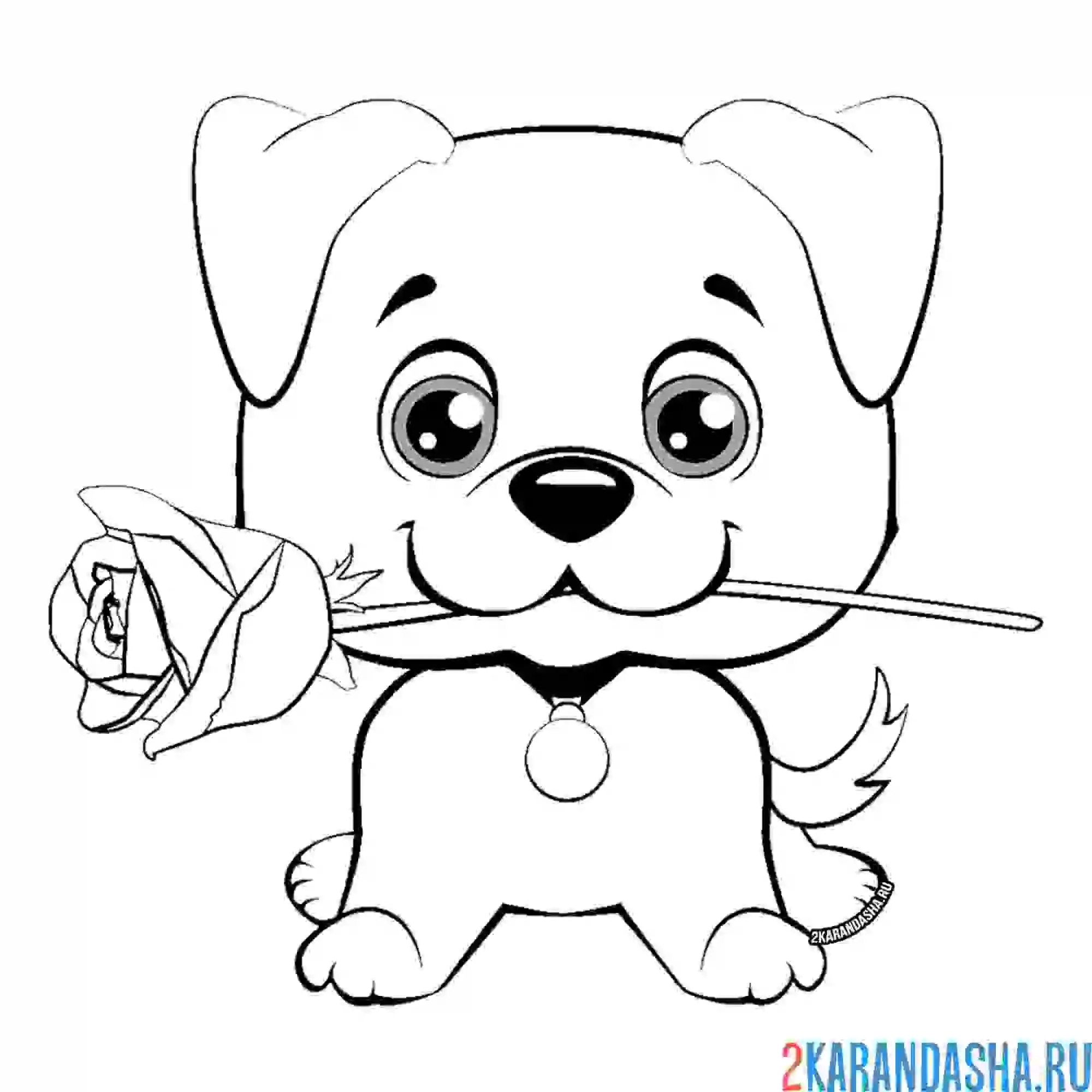 Раскраска милый щенок с розой