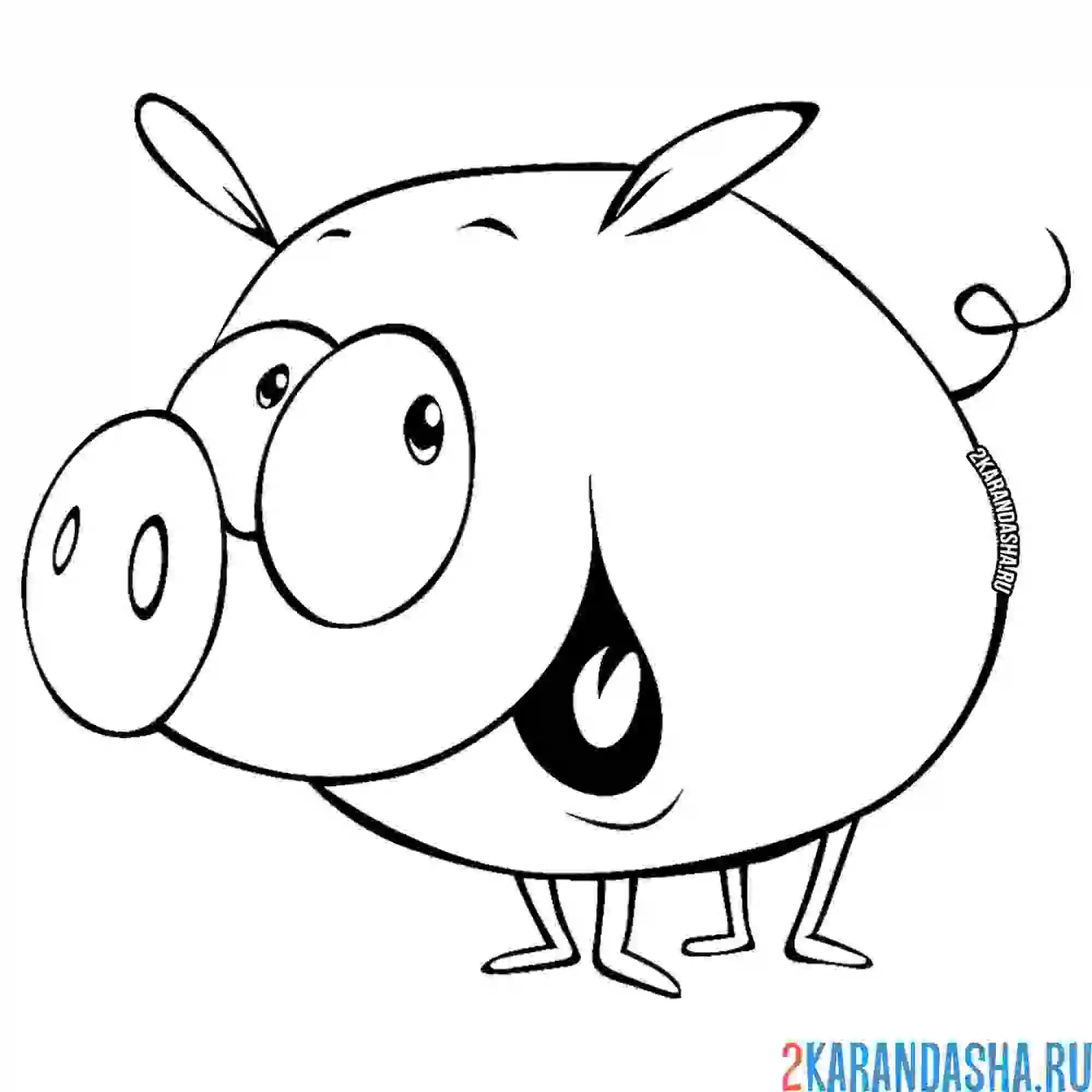 Раскраска смешной поросенок