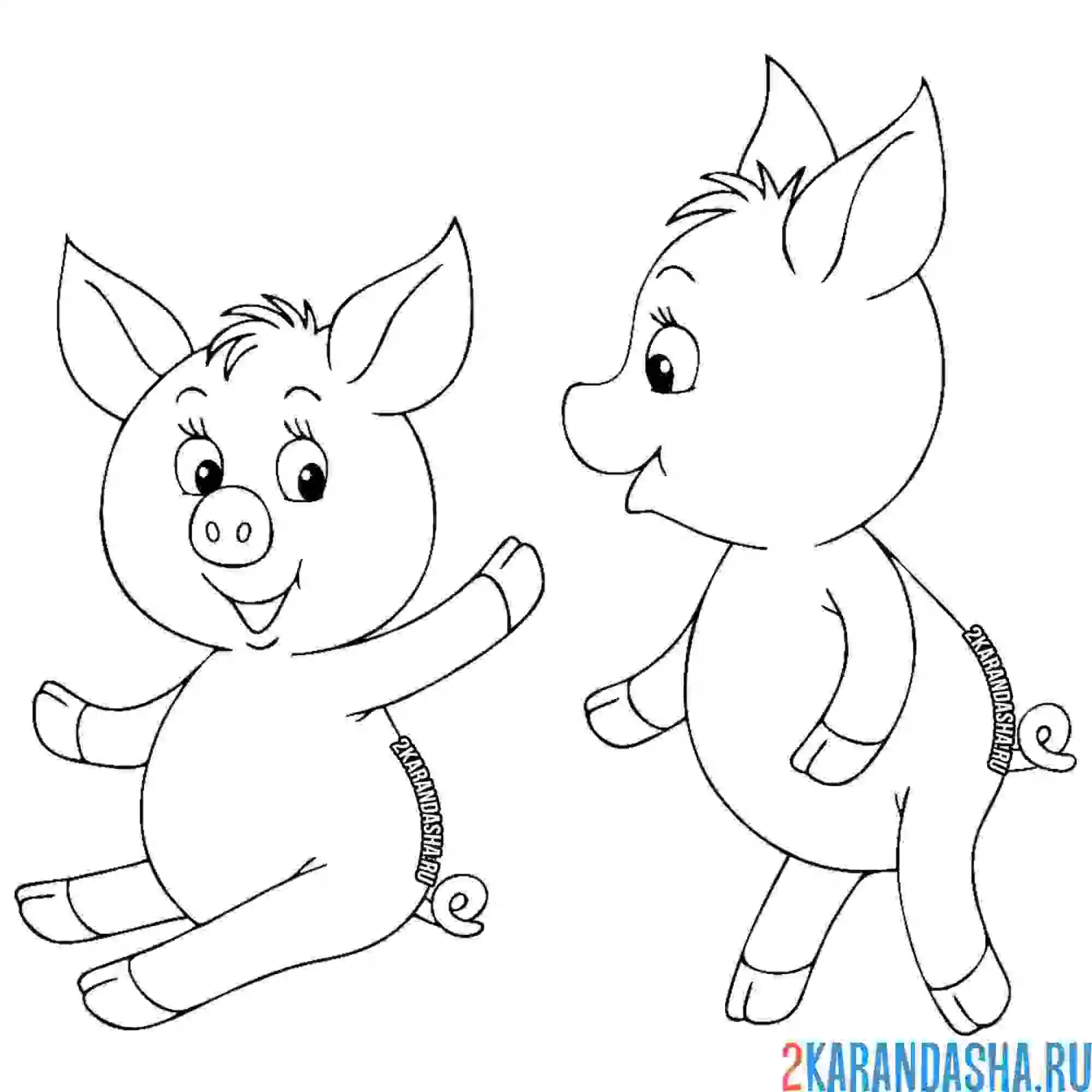 Раскраска два поросенка