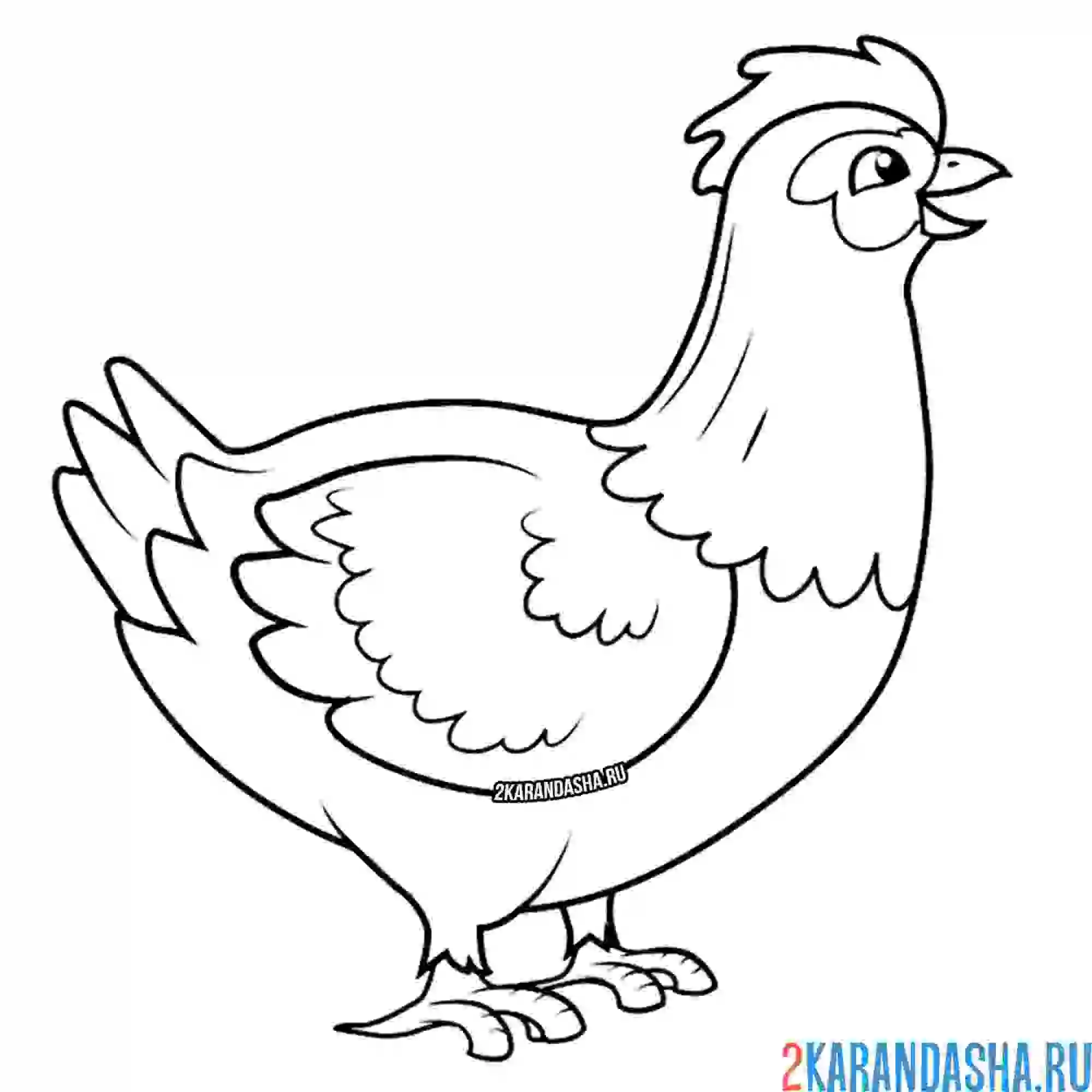 Раскраска курочка
