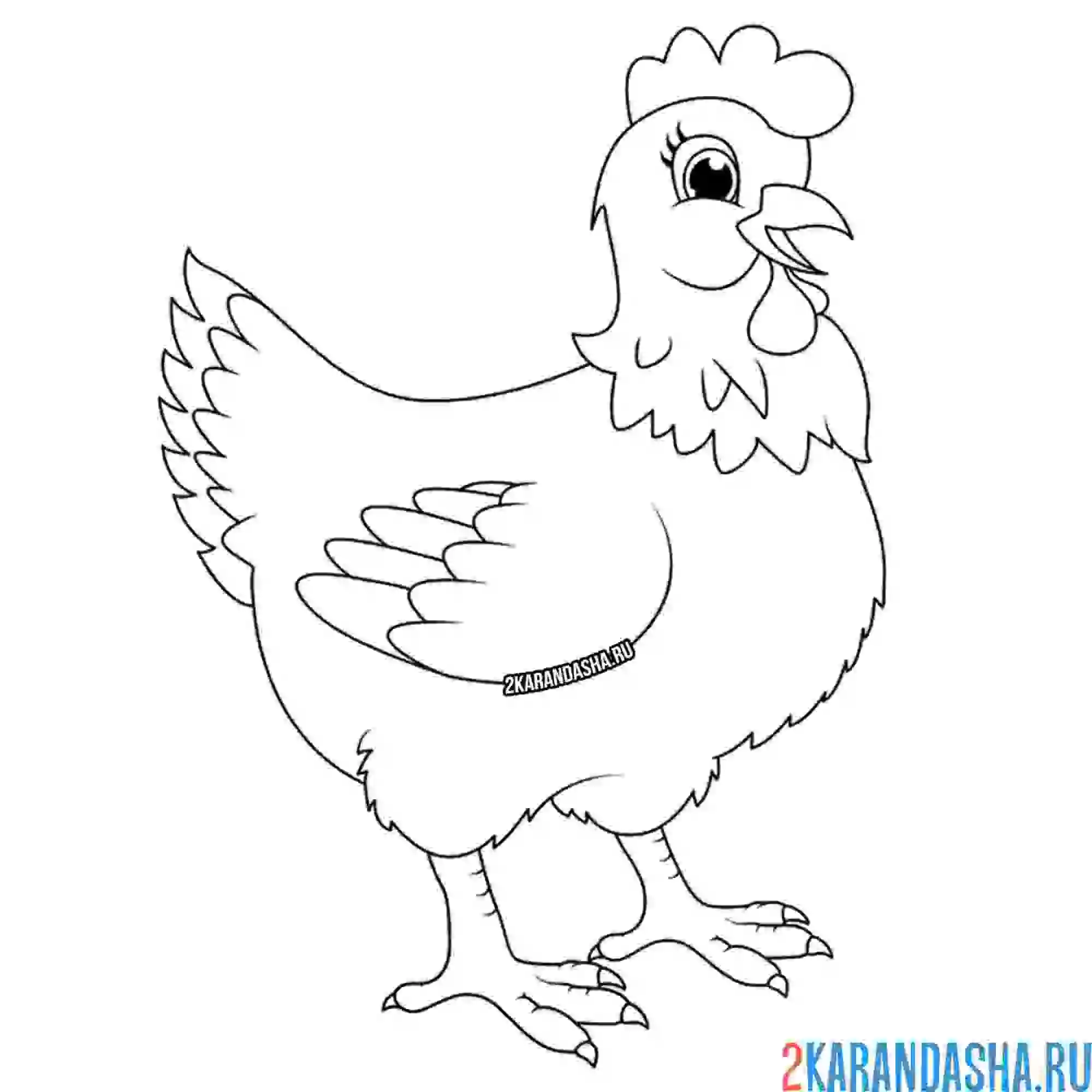 Раскраска важная курица
