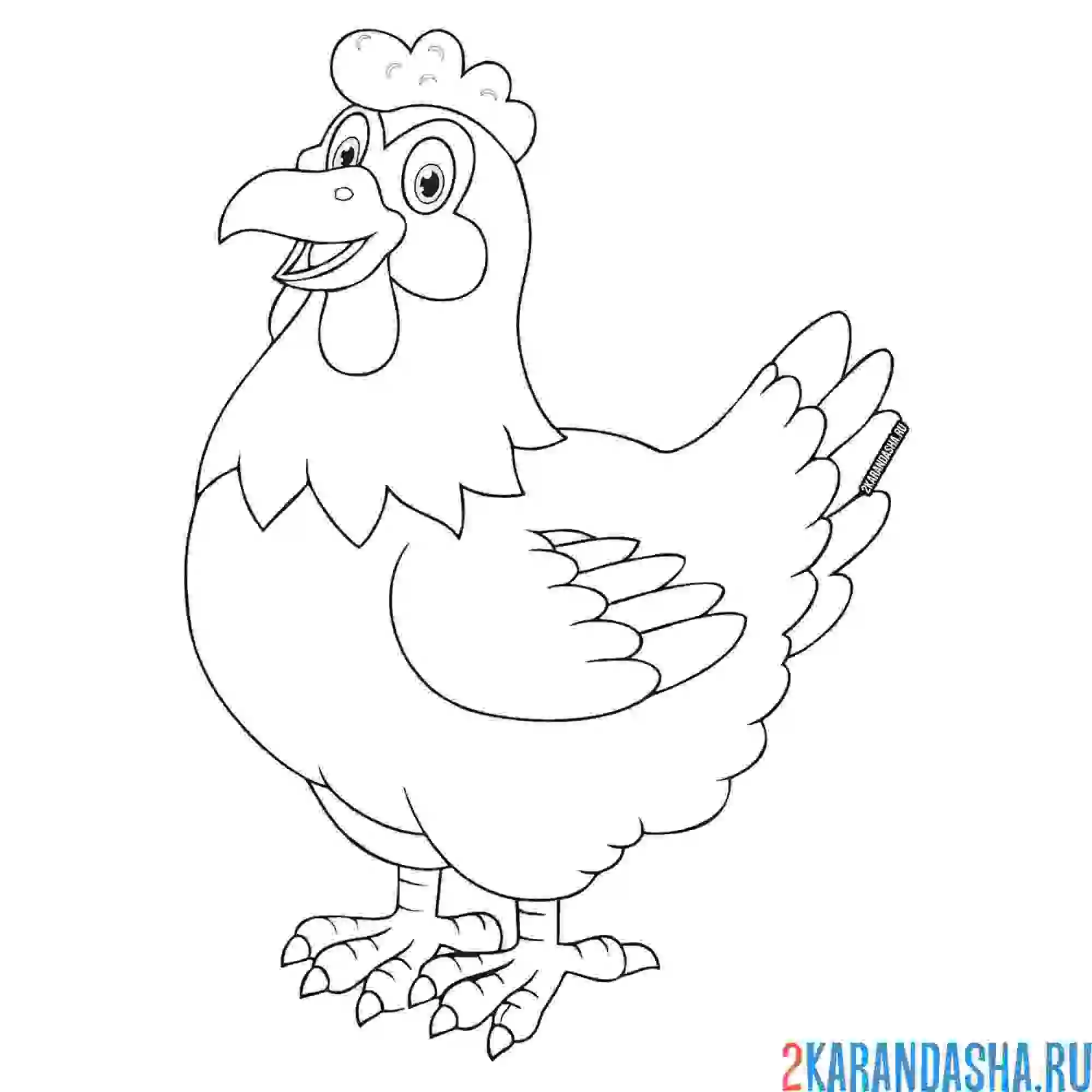 Раскраска красивая курочка