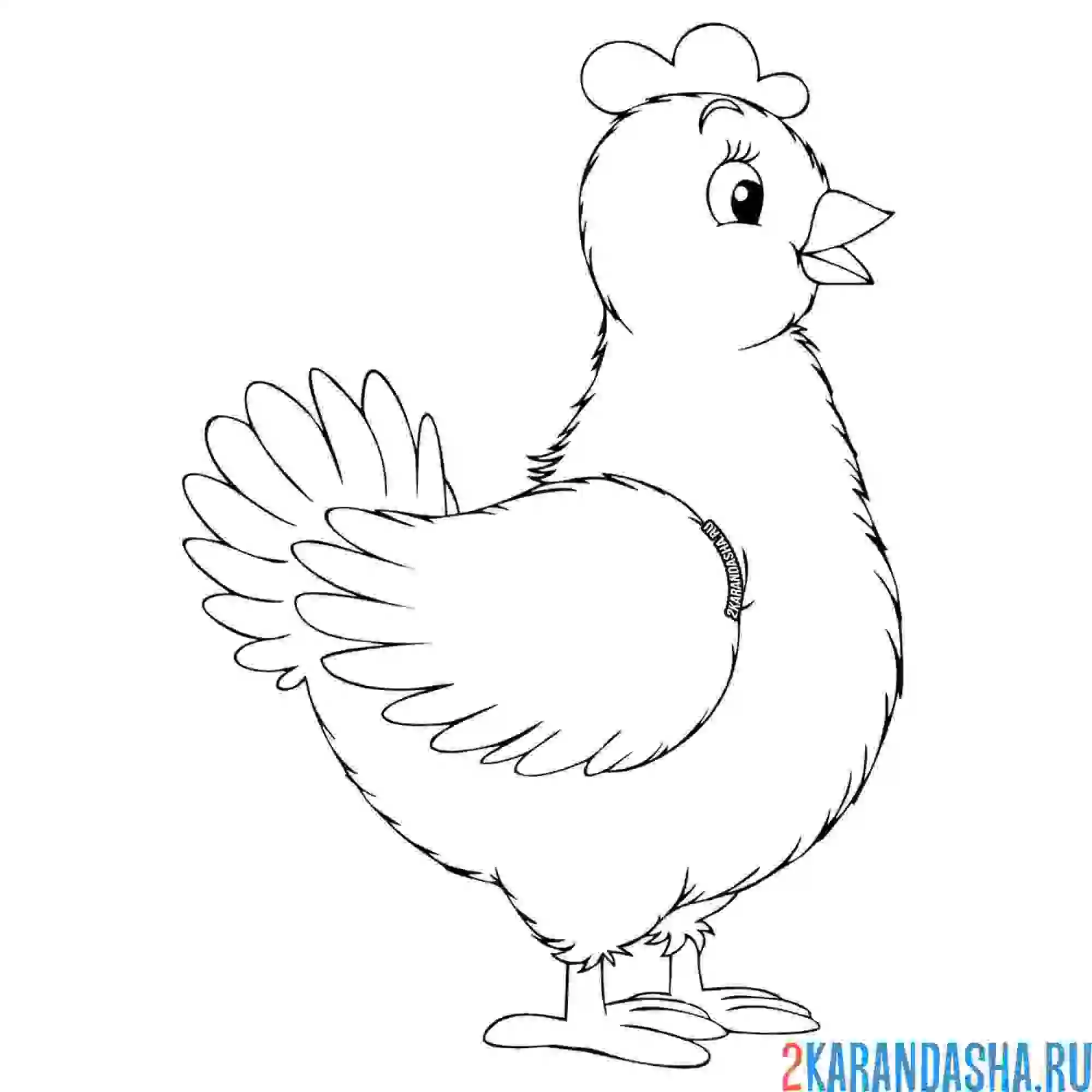 Раскраска курица детский рисунок