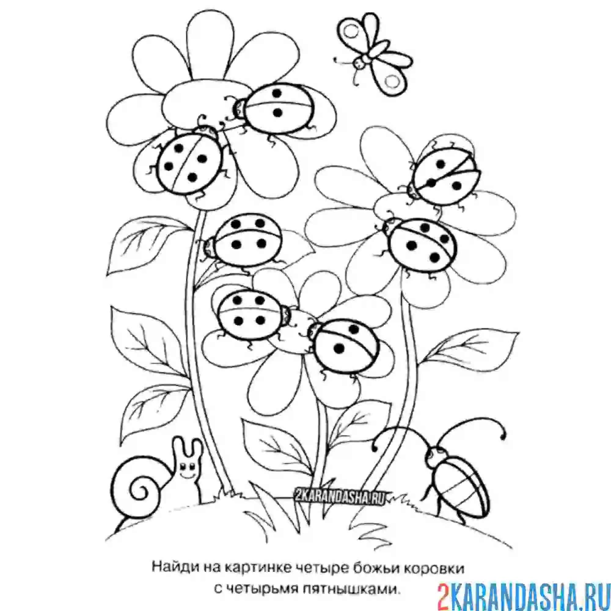 Раскраска божьи коровки на ромашках