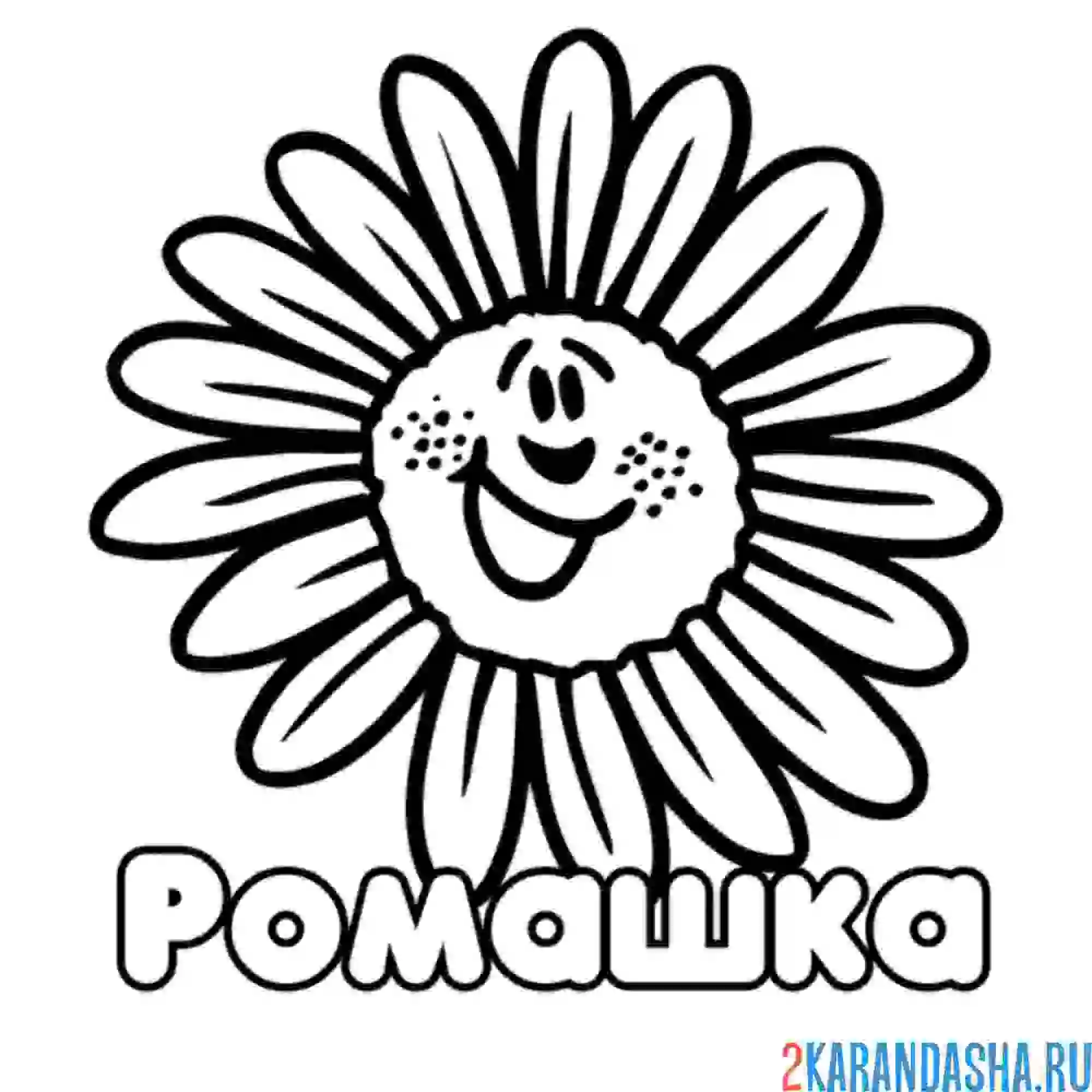 Раскраска веселая ромашка