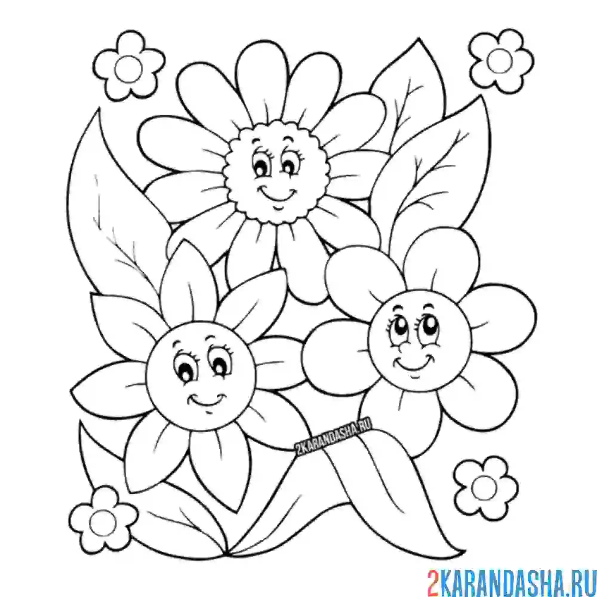 Раскраска три ромашки