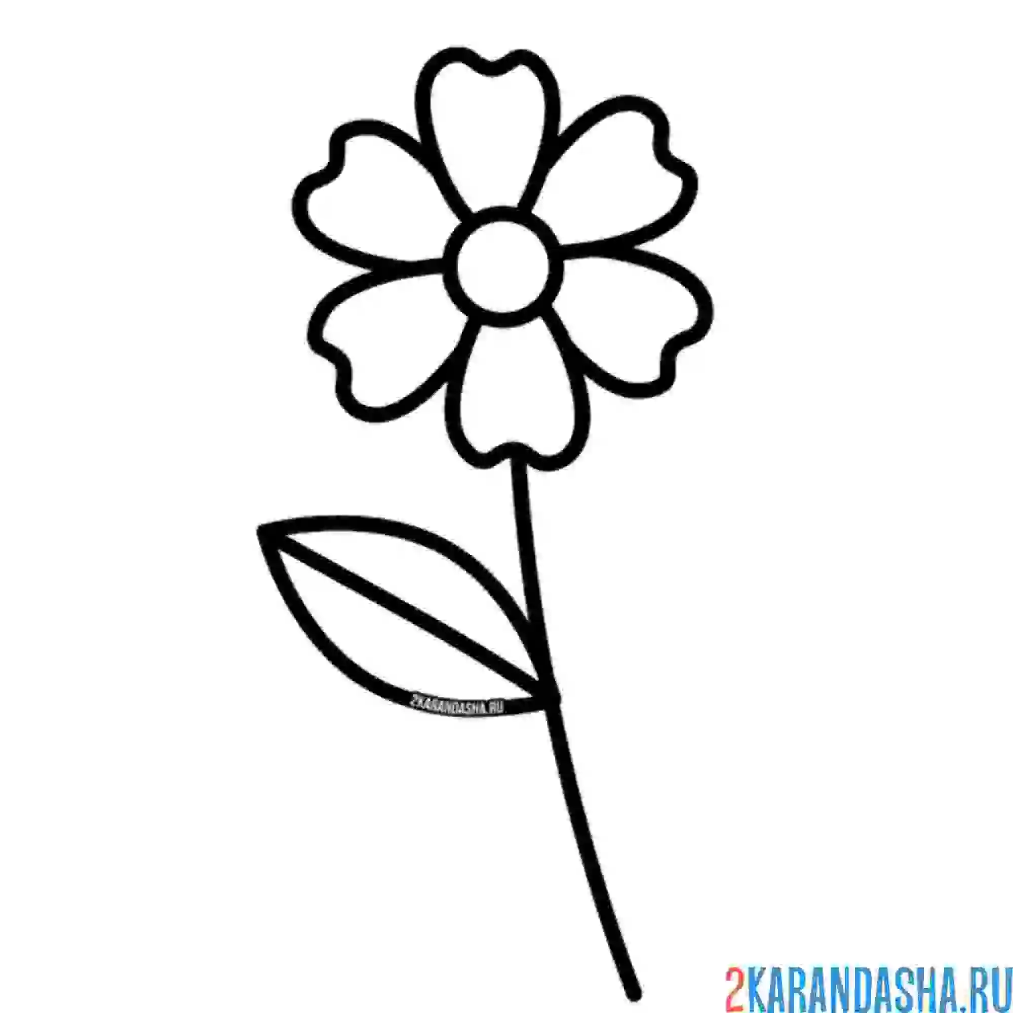 Раскраска простая ромашка