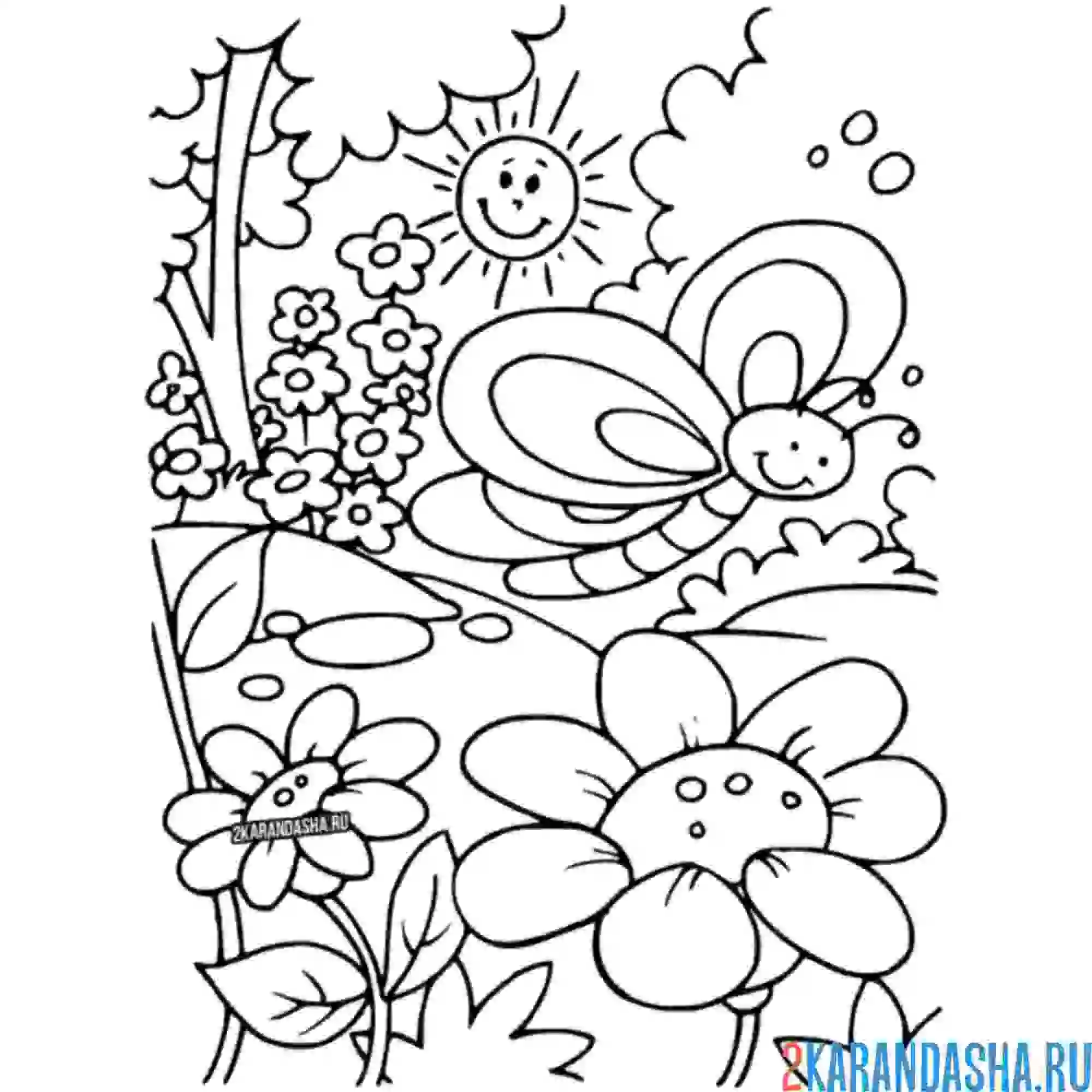 Раскраска ромашка и бабочка над ней