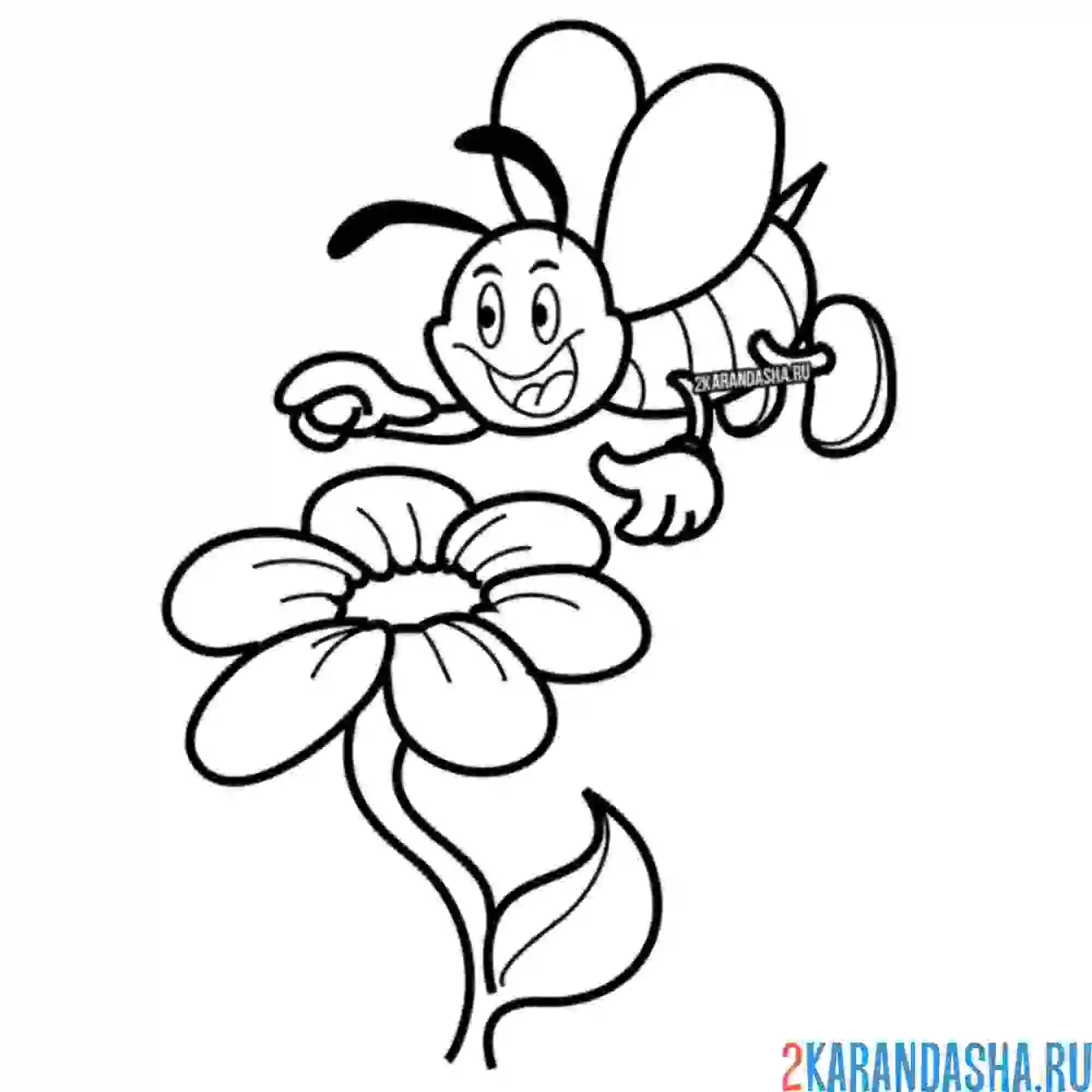 Раскраска веселая пчелка и ромашка