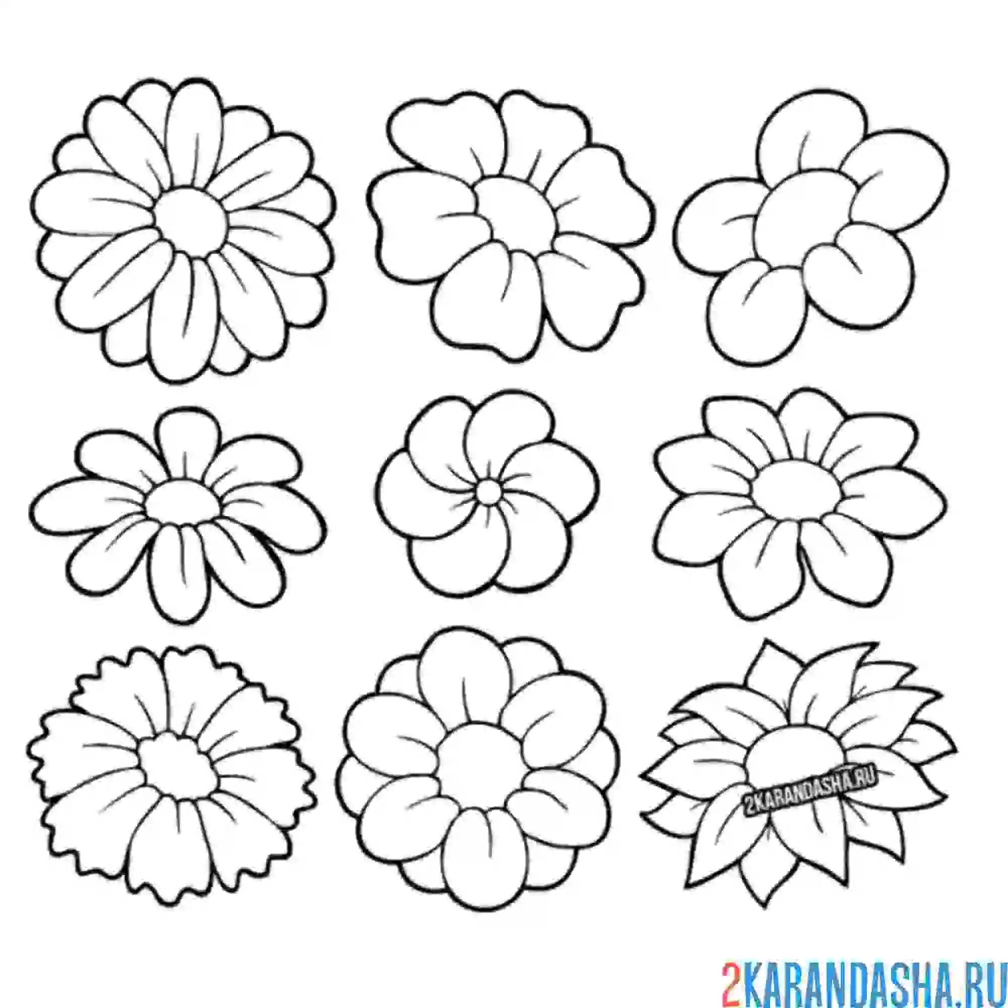 Раскраска всякие разные ромашки