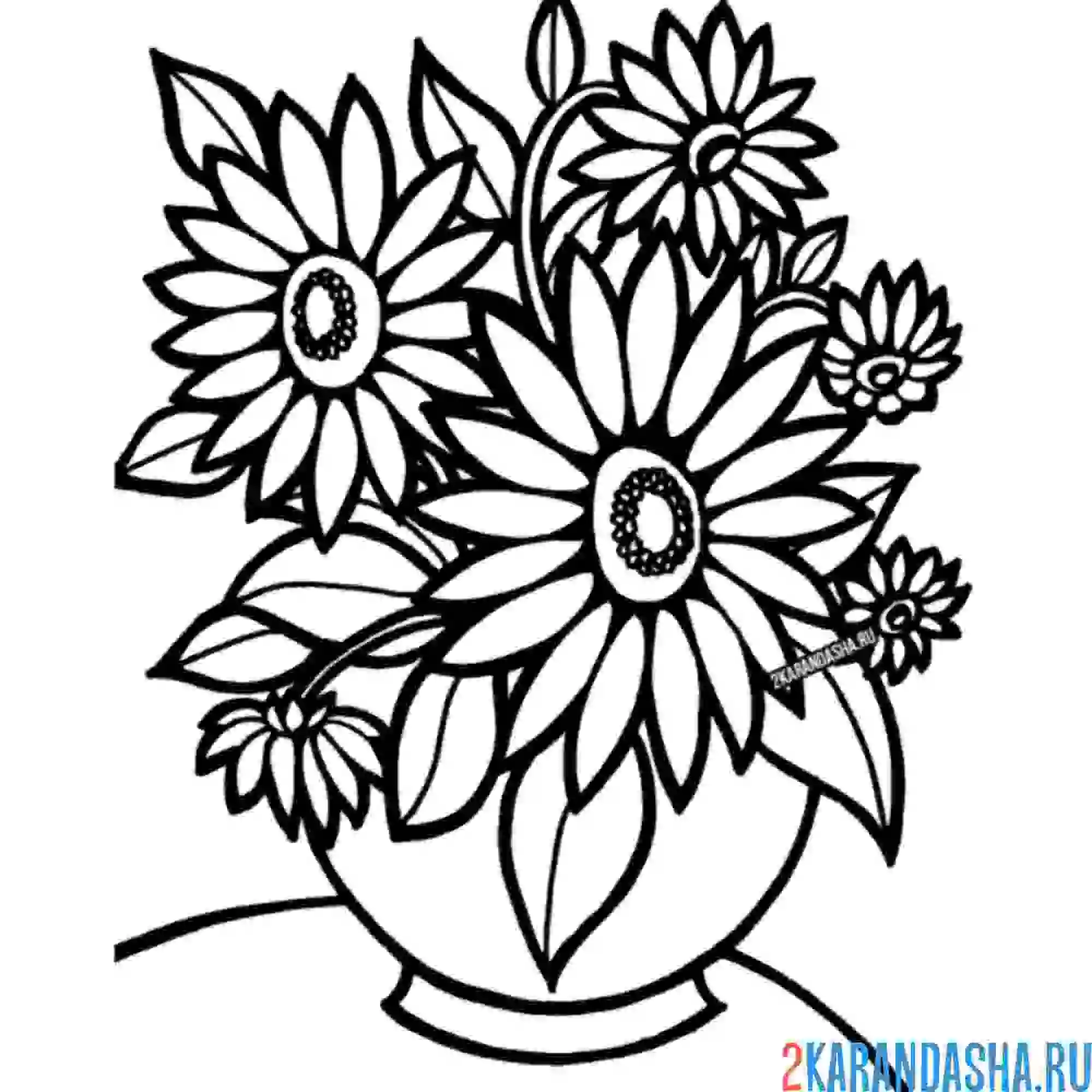 Раскраска в вазе ромашки