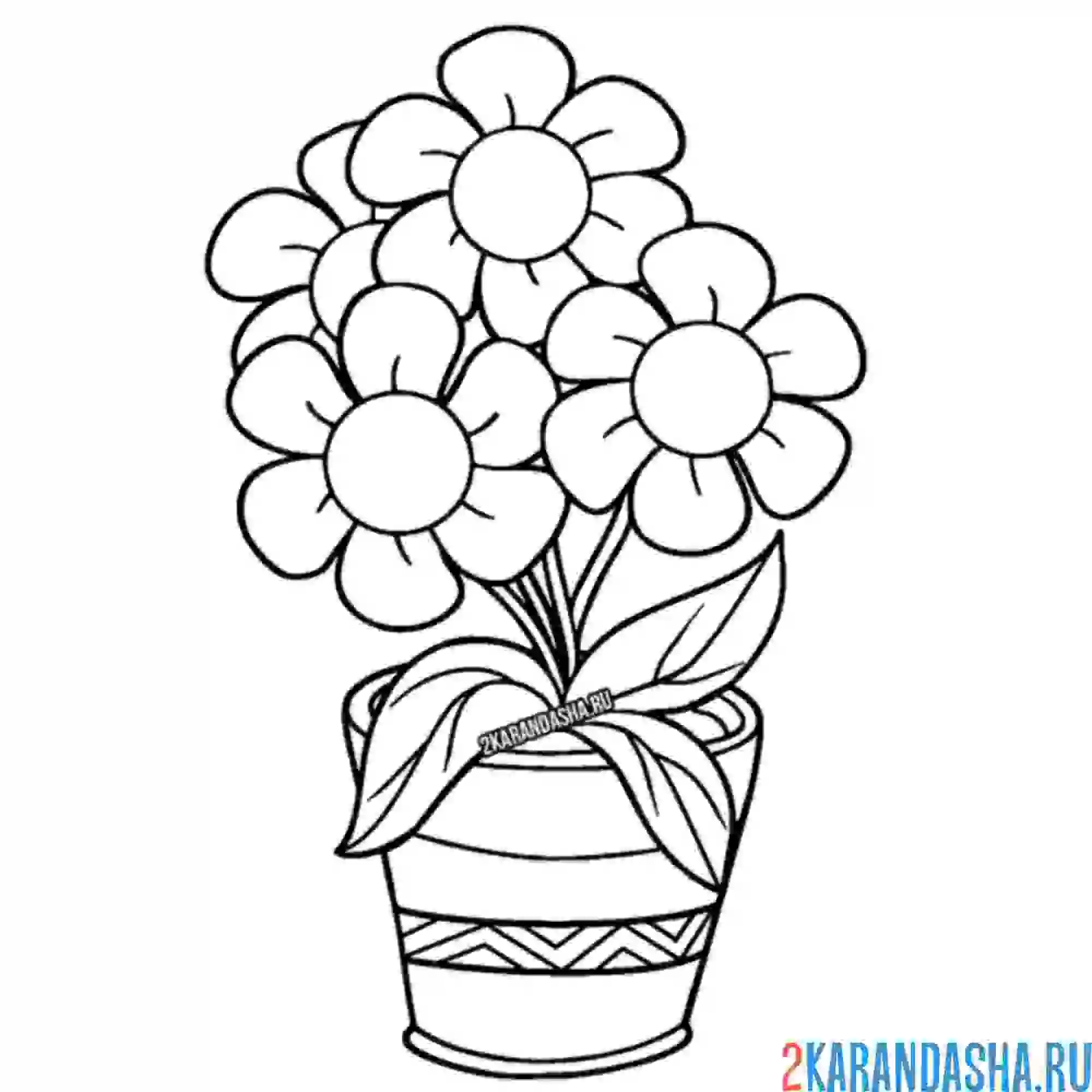 Раскраска ромашки в большом горшке