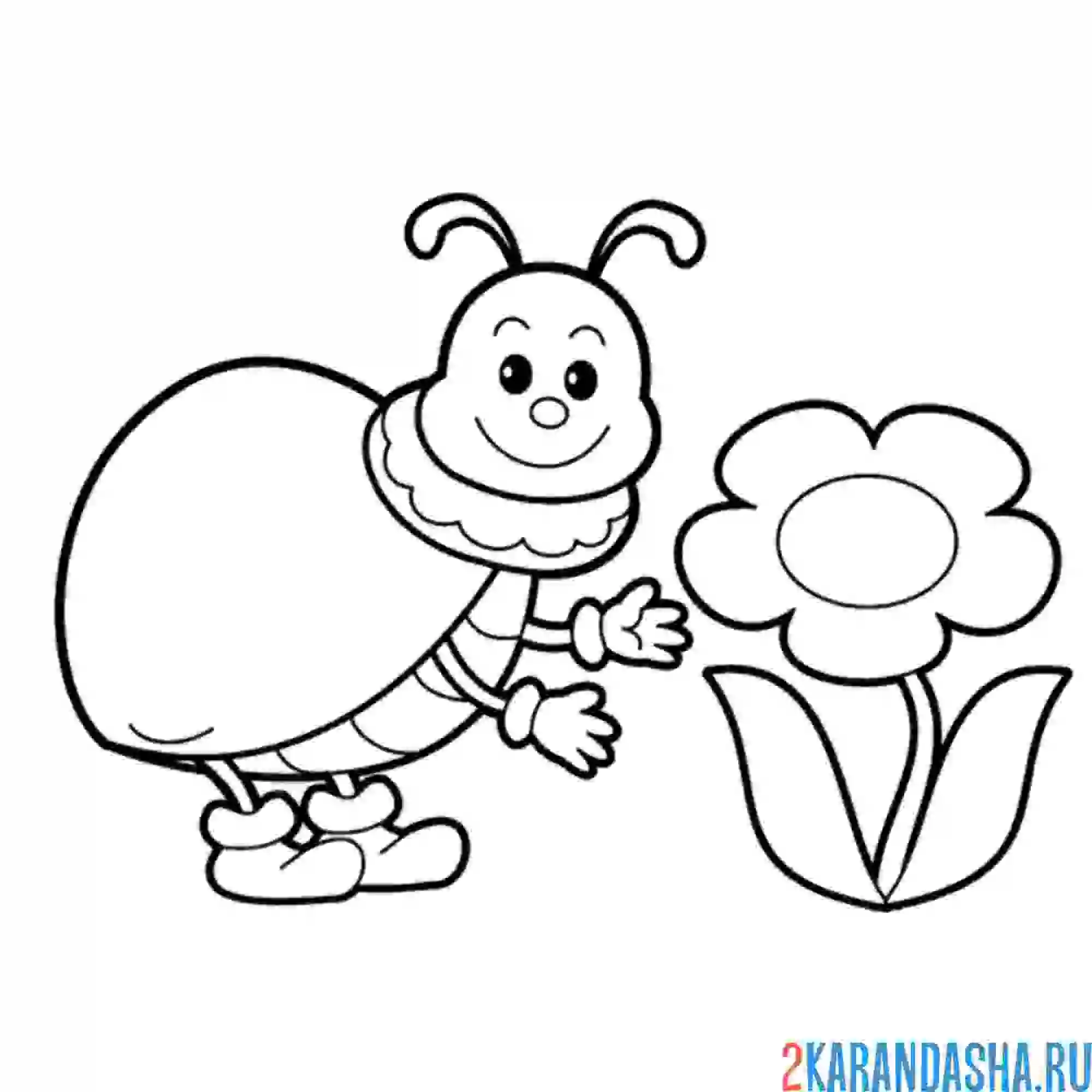 Раскраска букашка и ромашка