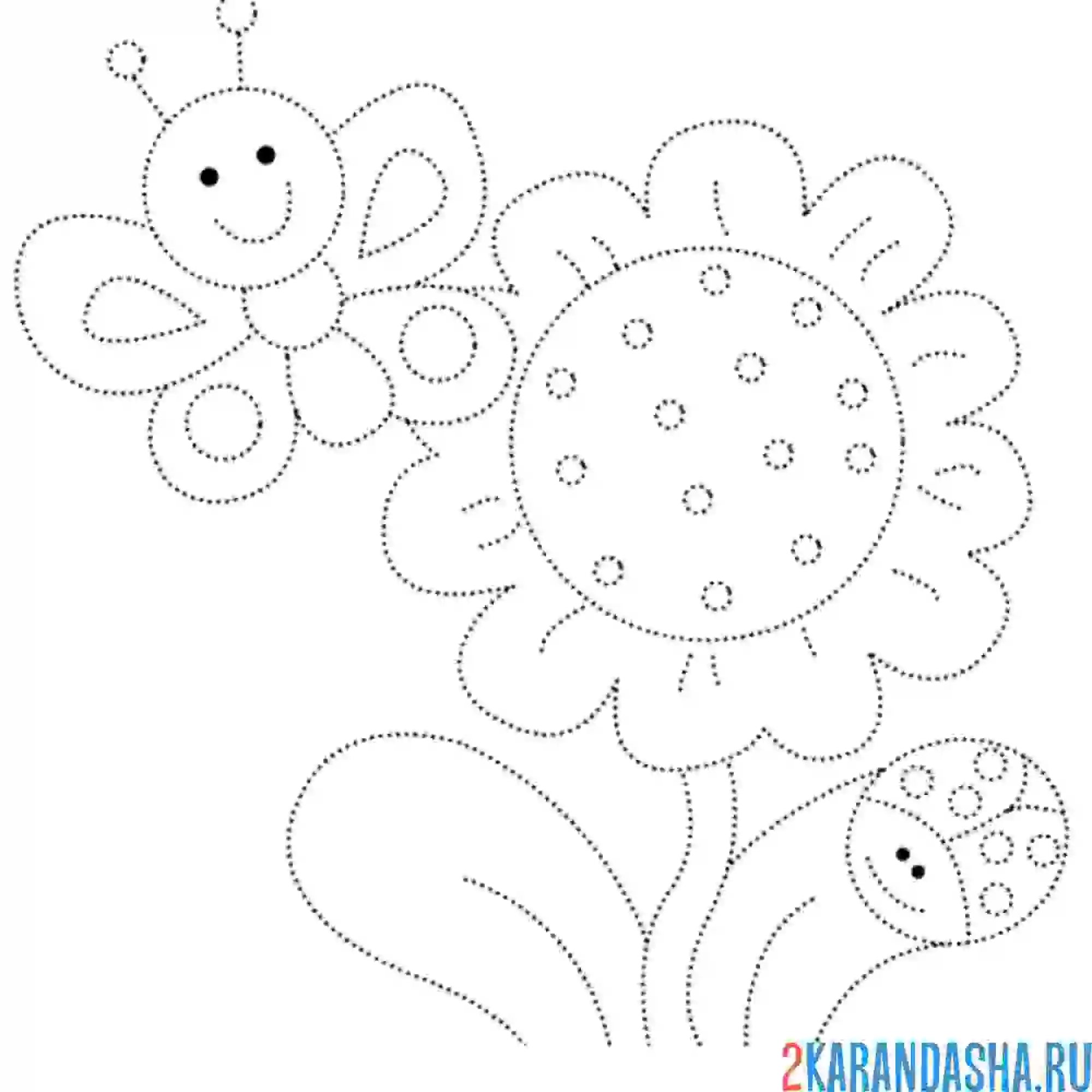 Раскраска обведи ромашку и бабочку