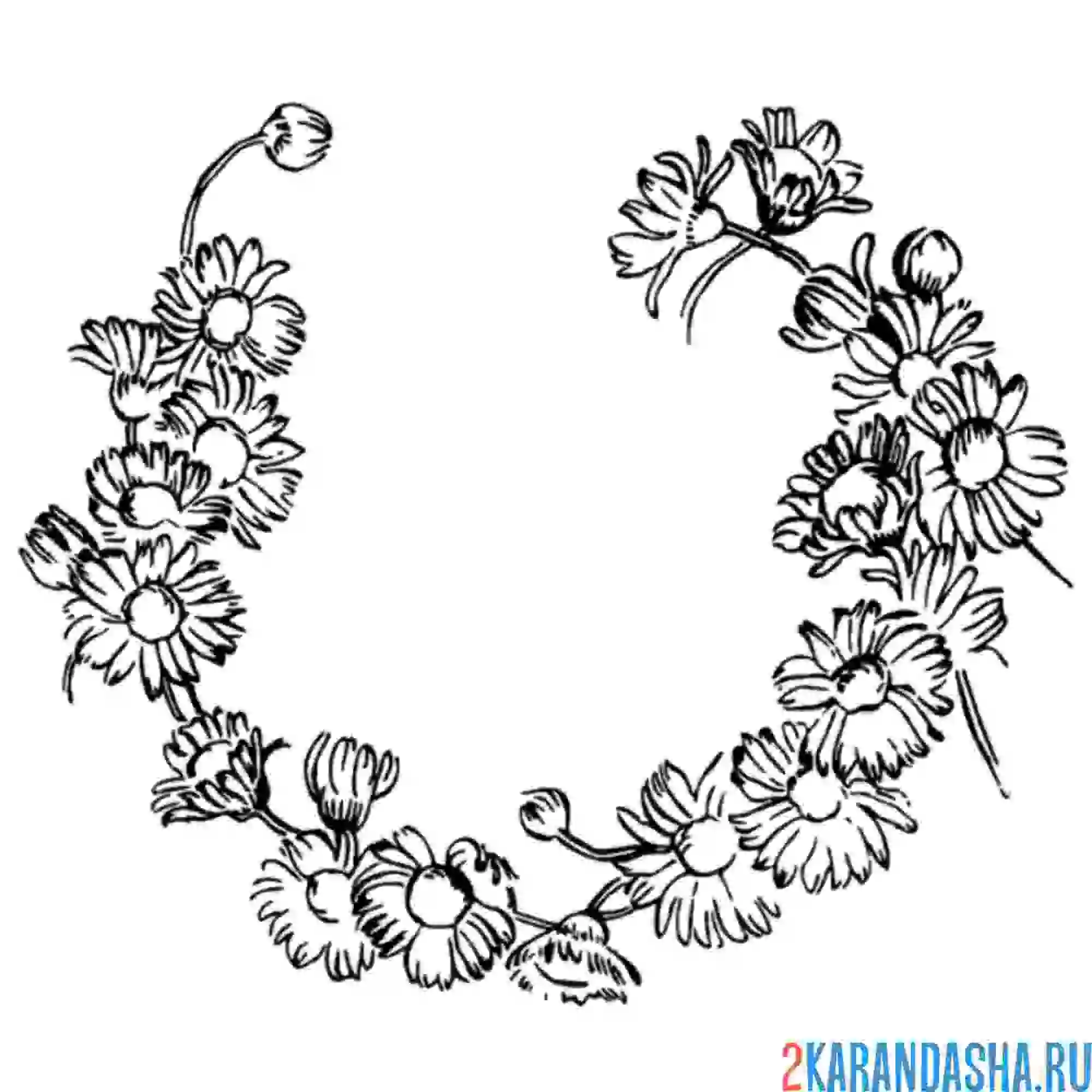 Раскраска венок из ромашек