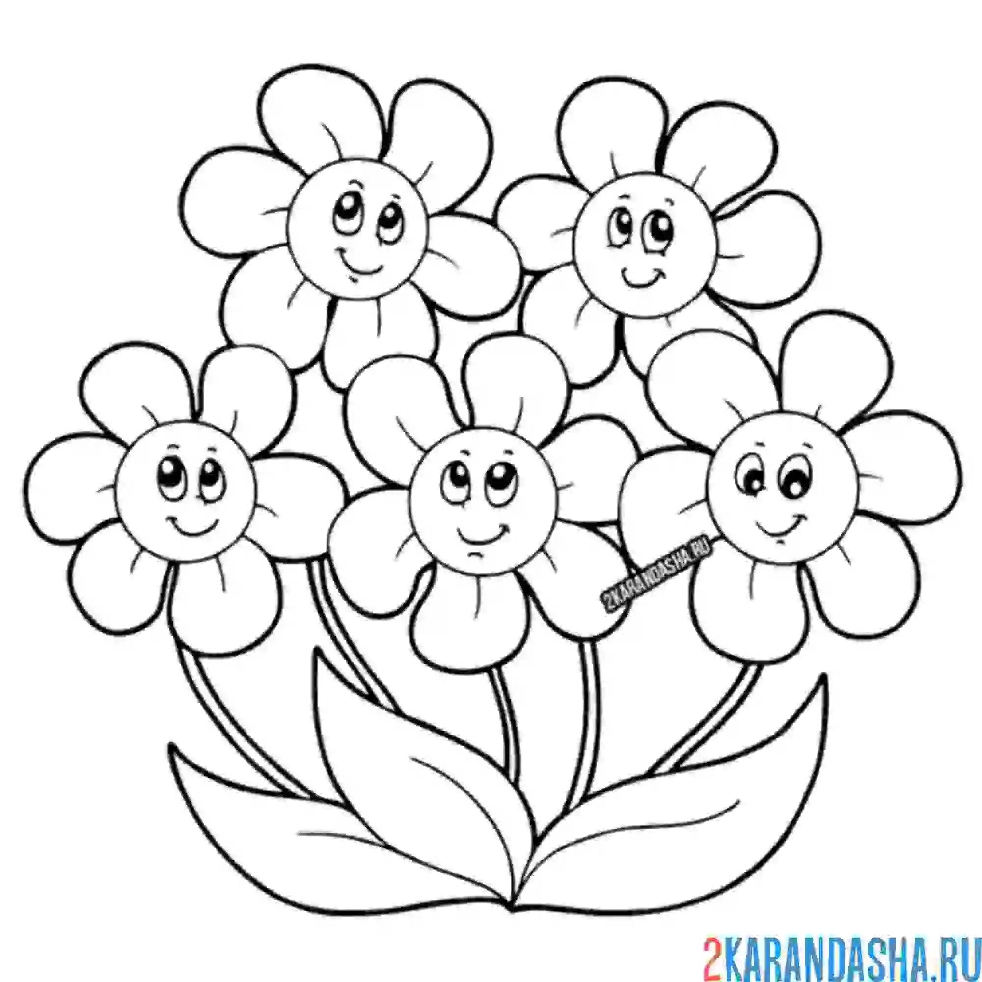 Раскраска пять ромашек