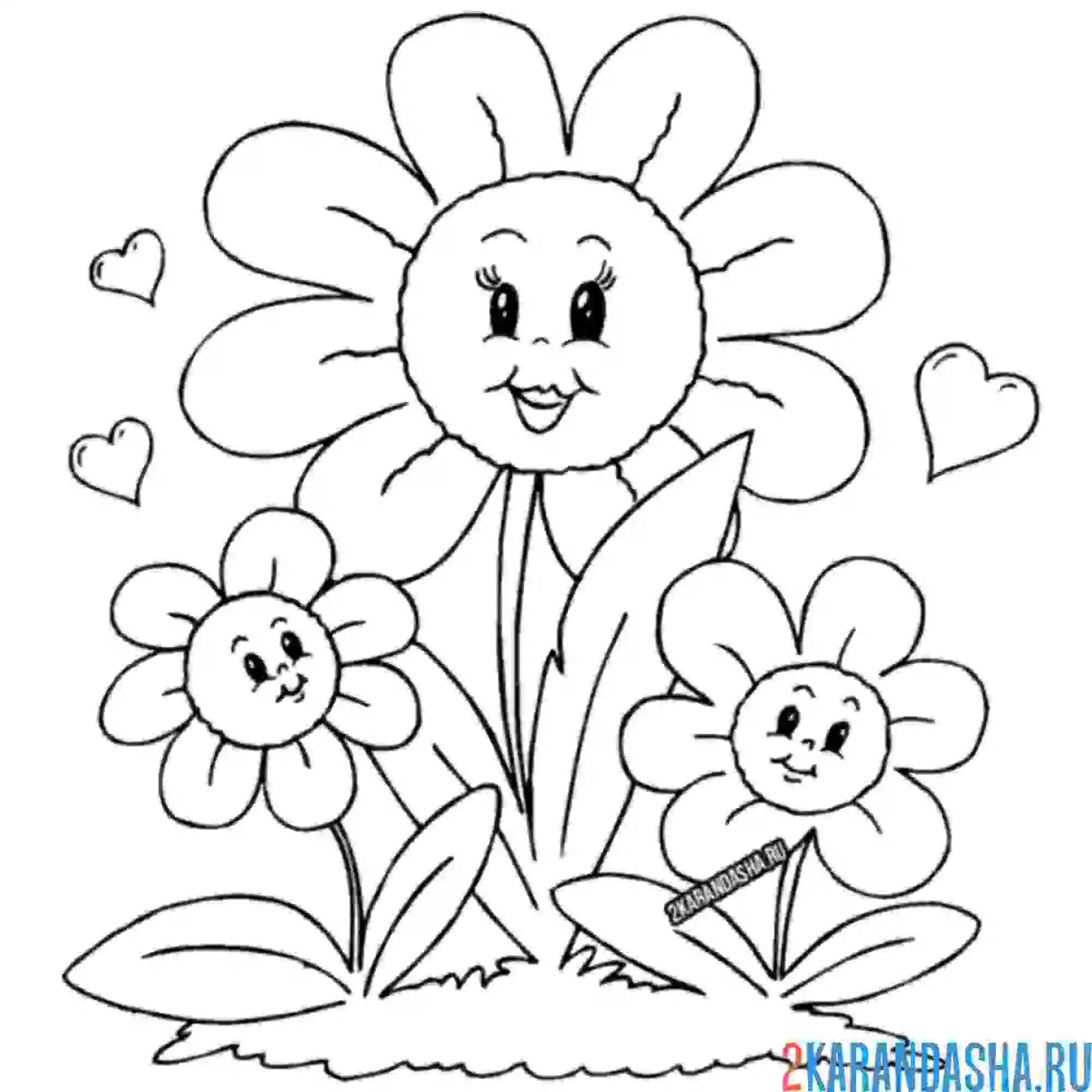 Раскраска мама ромашка и детки