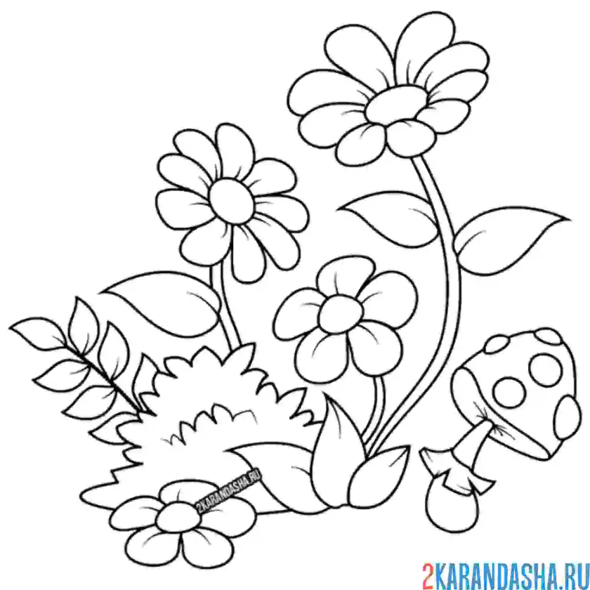 Раскраска несколько ромашек в лесу