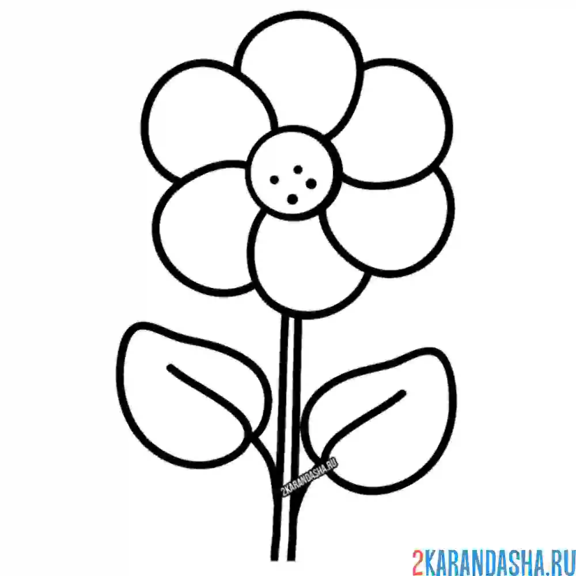 Раскраска одинокая ромашка