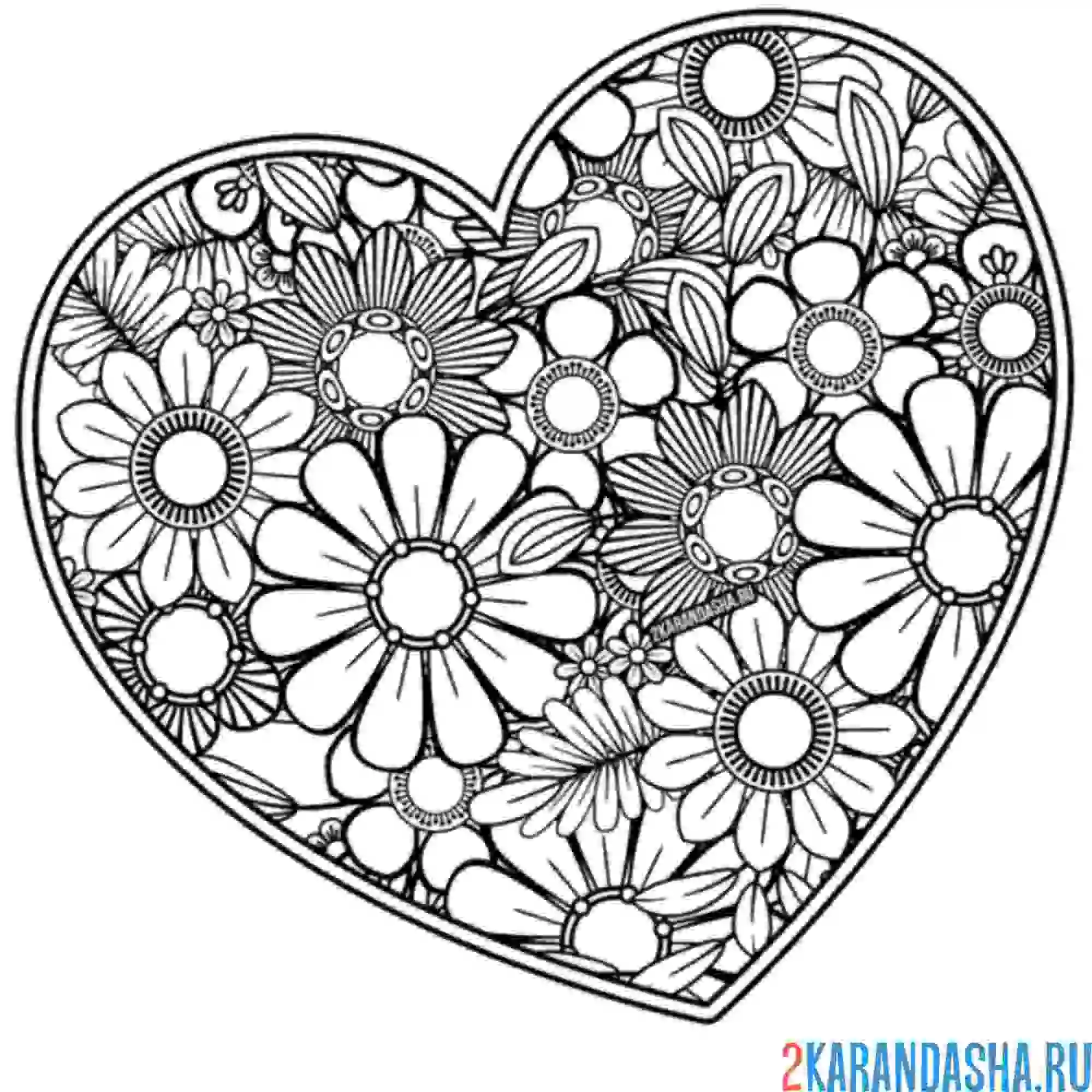 Раскраска ромашки в сердце