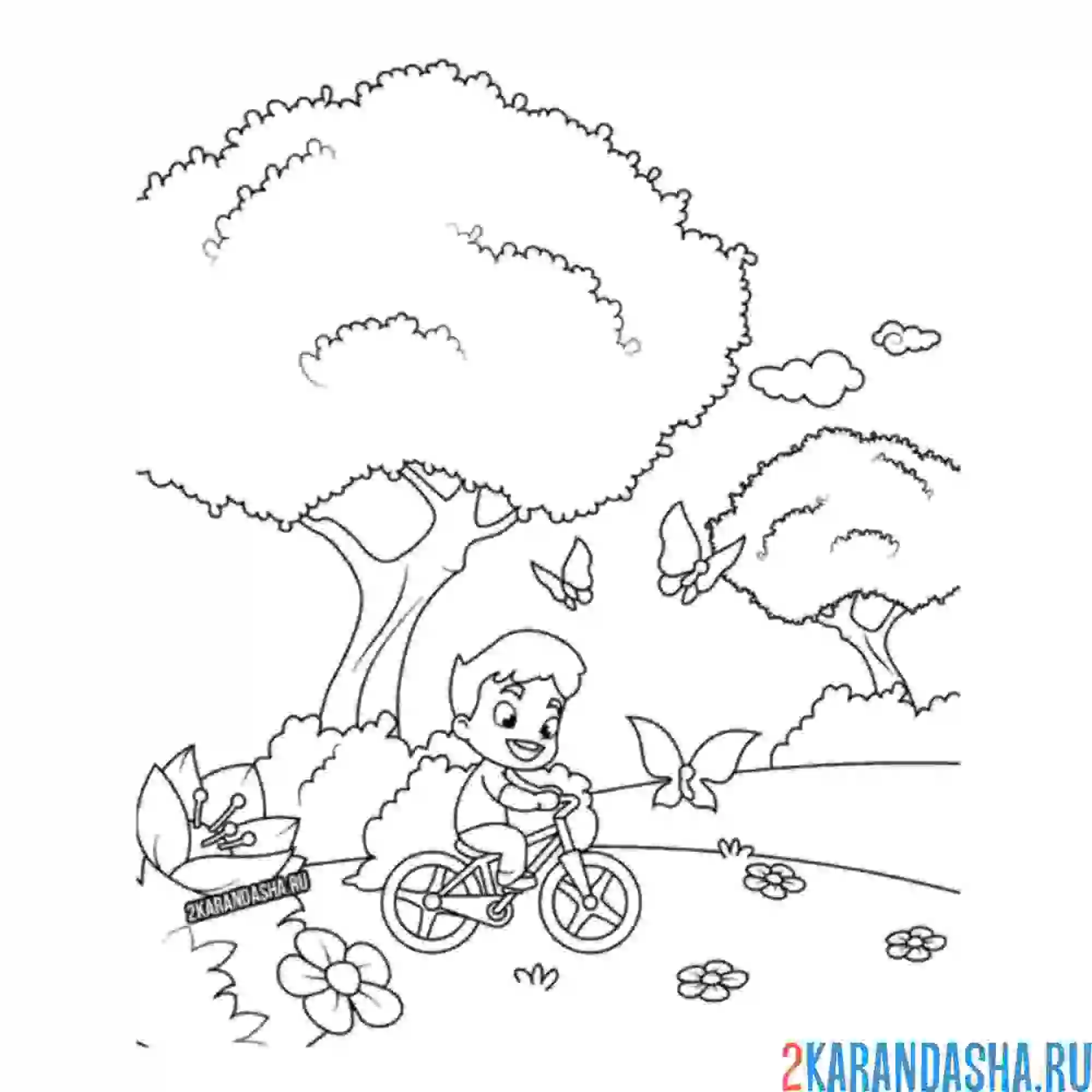 Раскраска мальчик на велосипеде летом