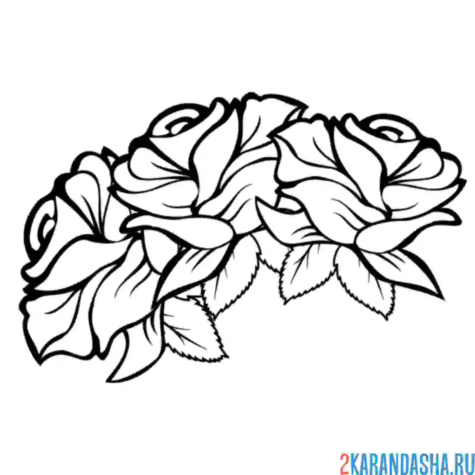 Раскраска три розы рядом