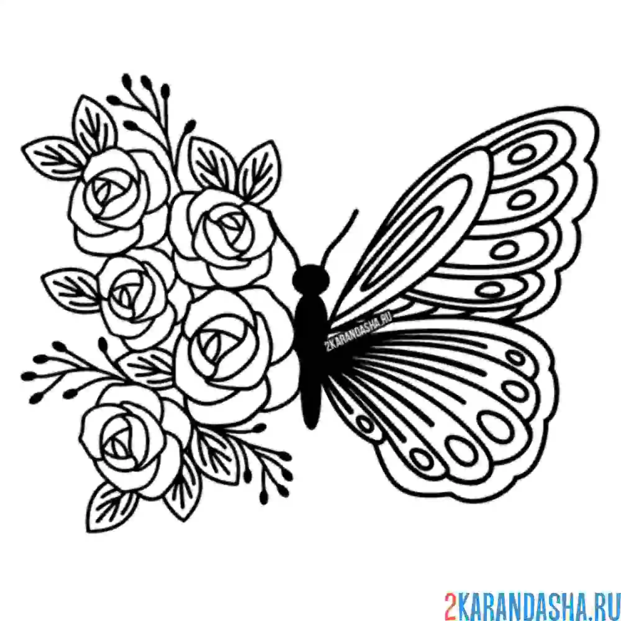 Раскраска розы и бабочка