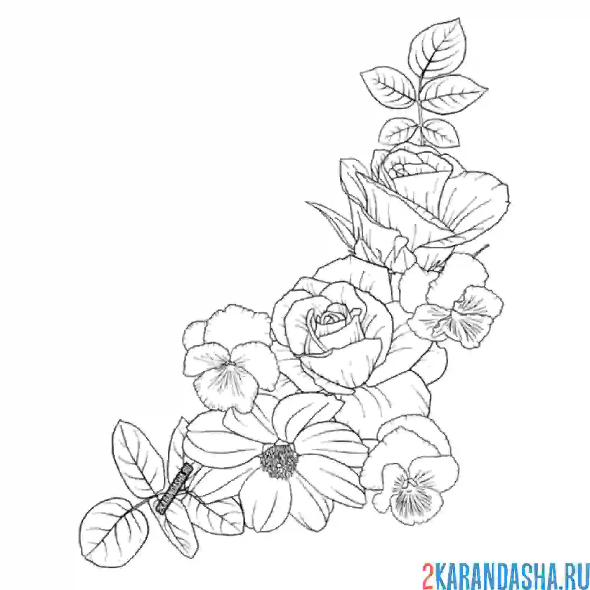 Раскраска розы для уголка