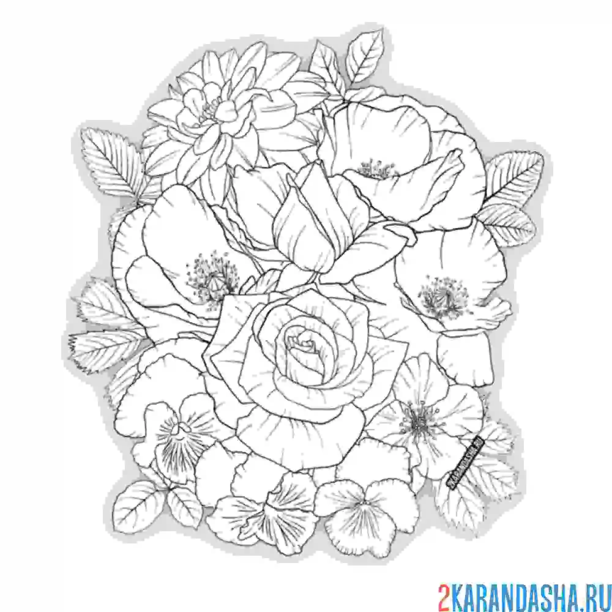 Раскраска розы в букете
