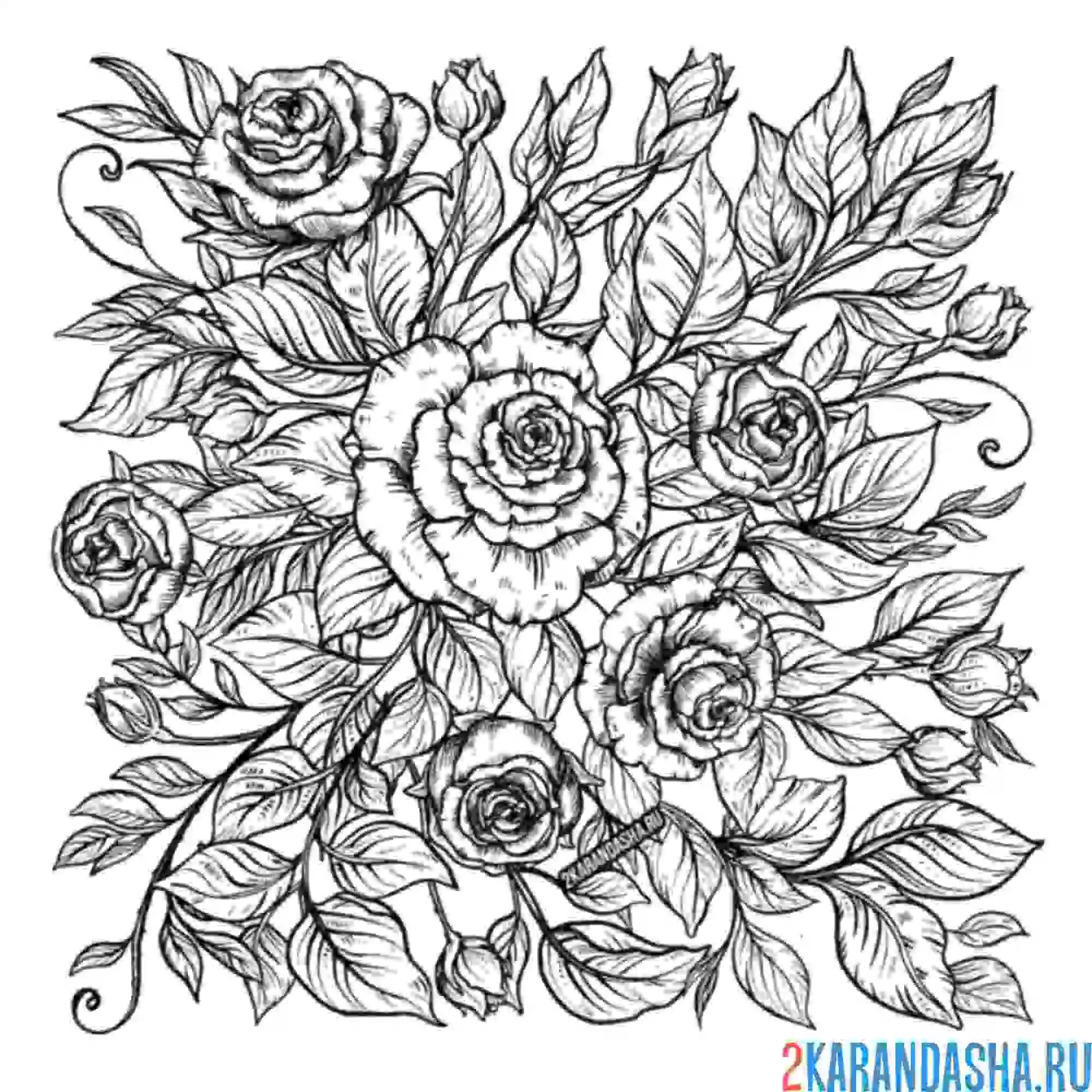 Раскраска красивые розы на весь лист