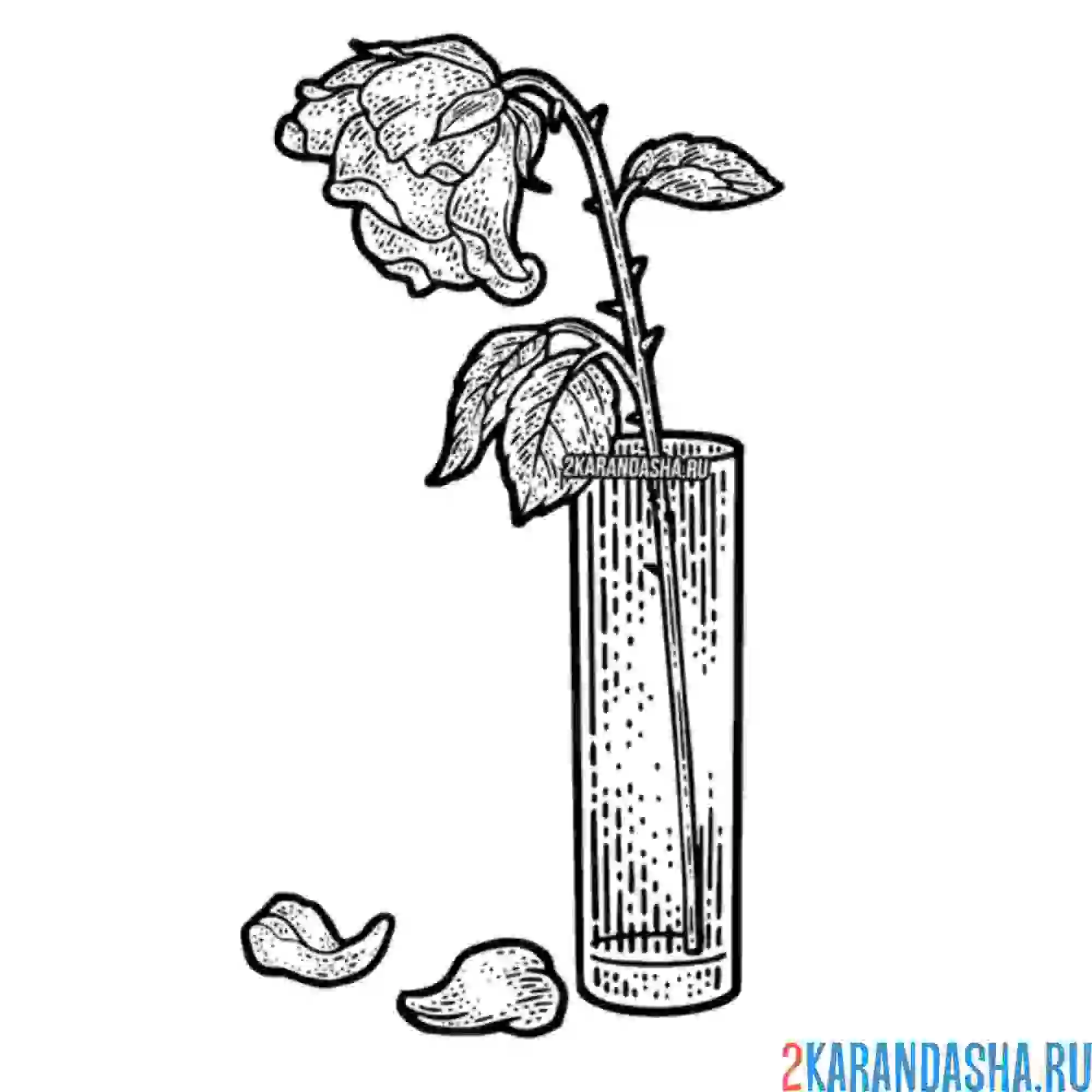Раскраска роза в стакане