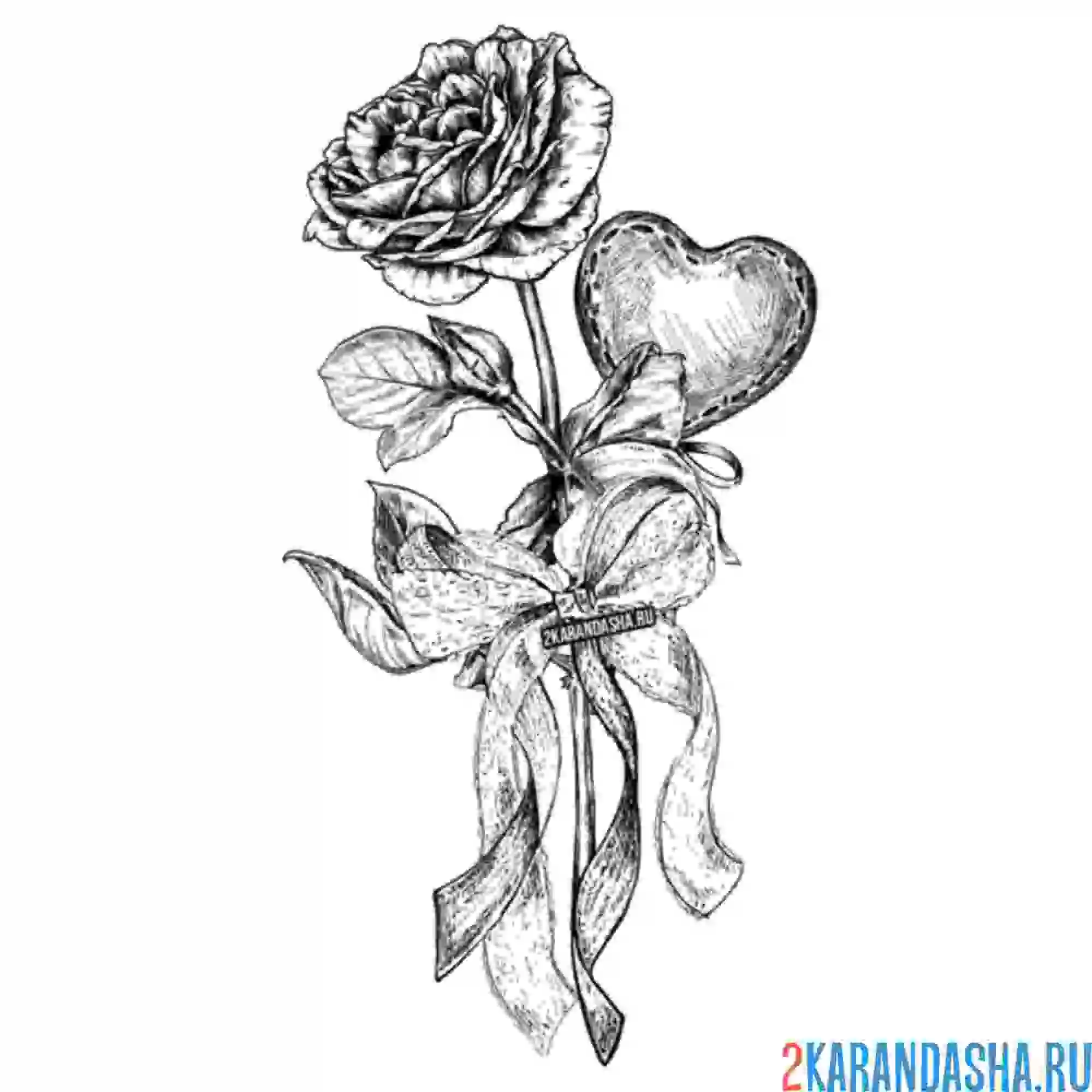 Раскраска розочка и сердечко