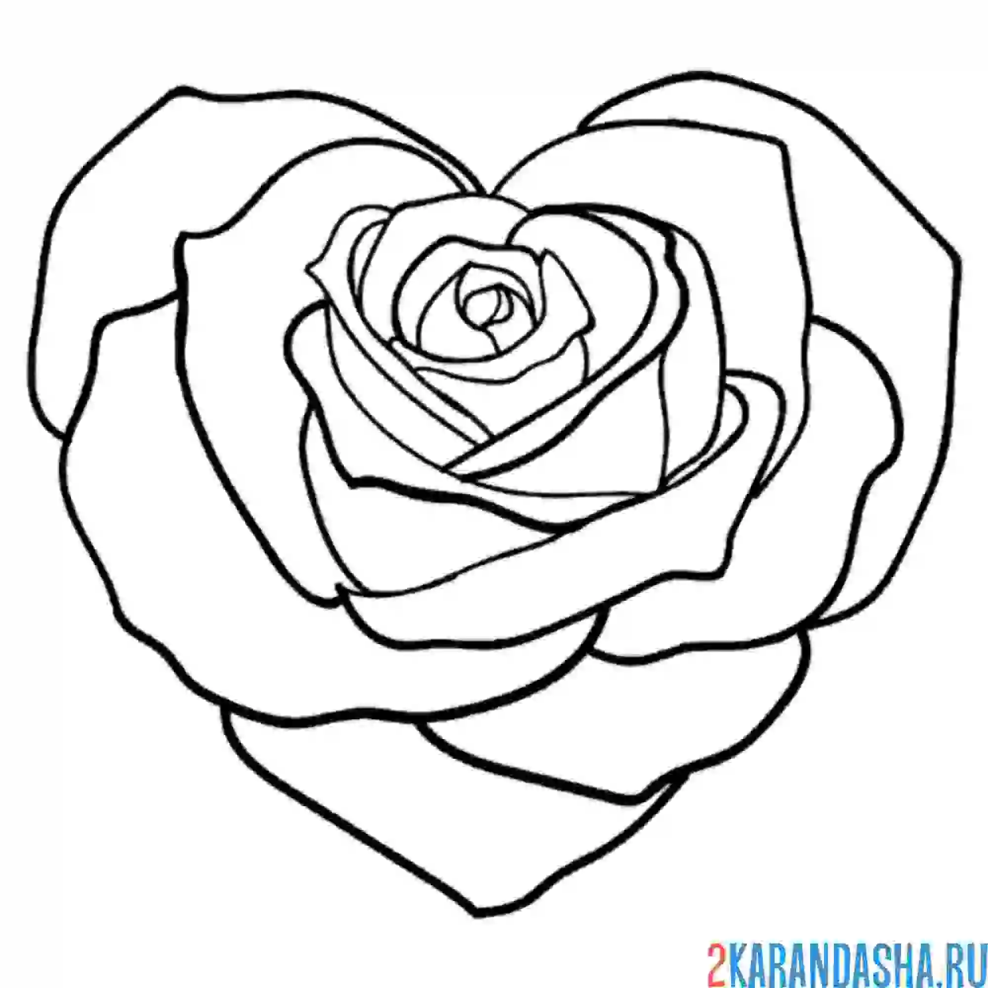 Раскраска роза в форме сердца