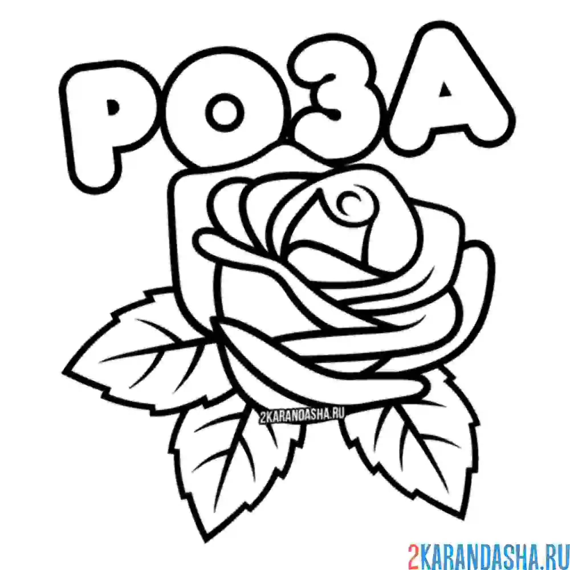 Раскраска роза с надписью