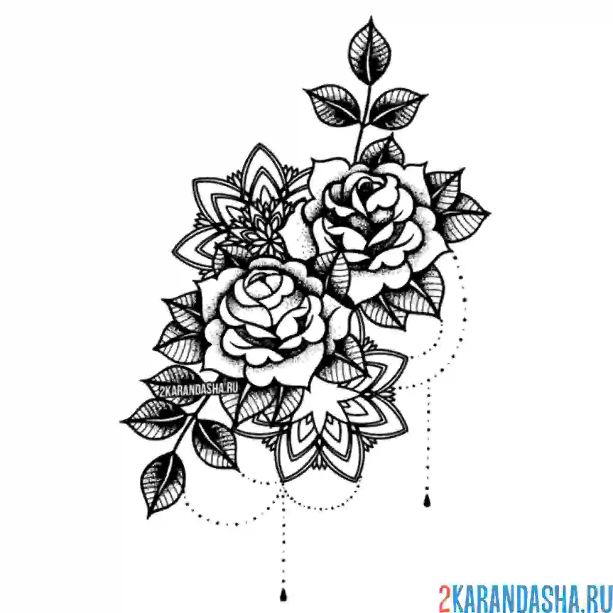 Раскраска роза с красивыми узорами