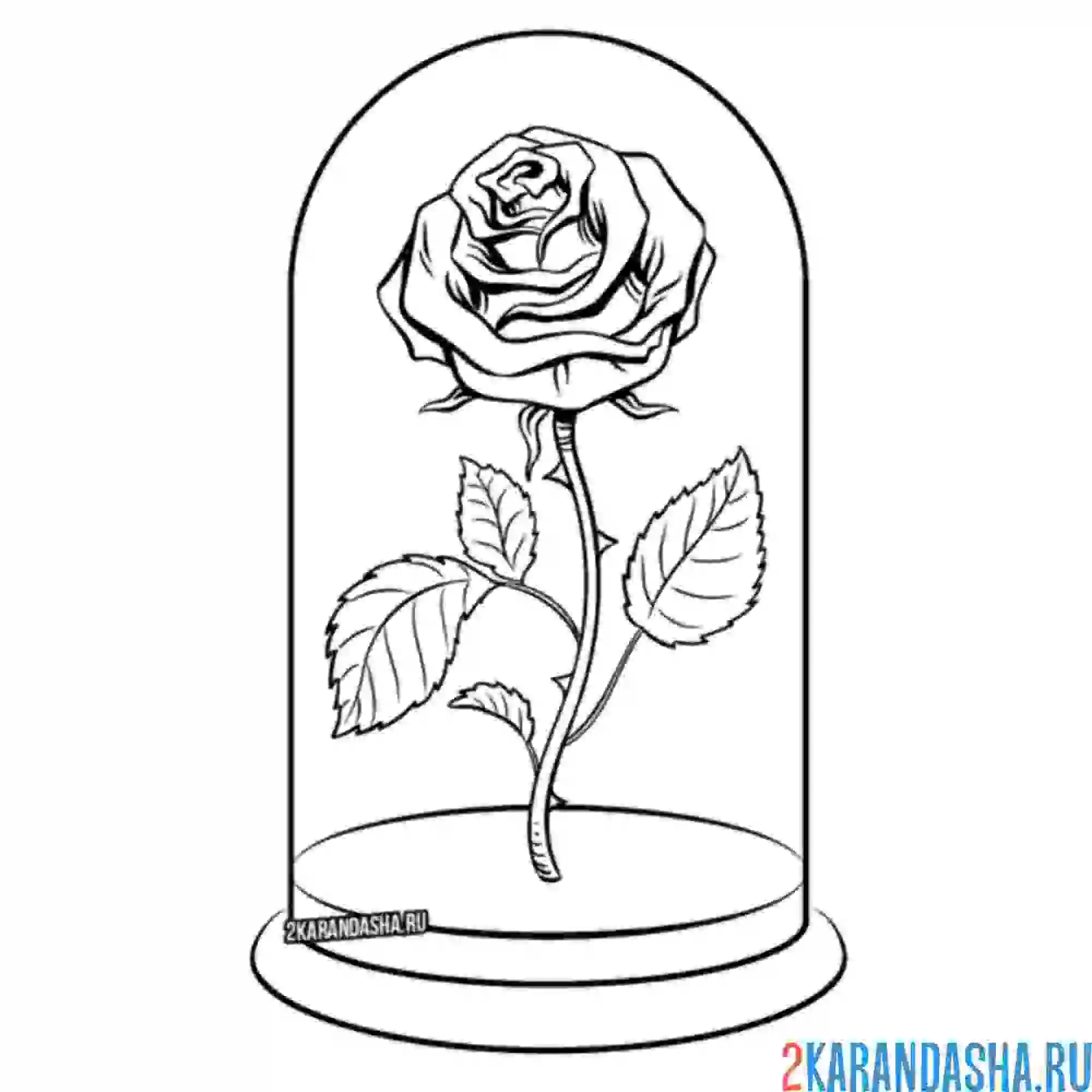 Раскраска роза под стеклянным куполом