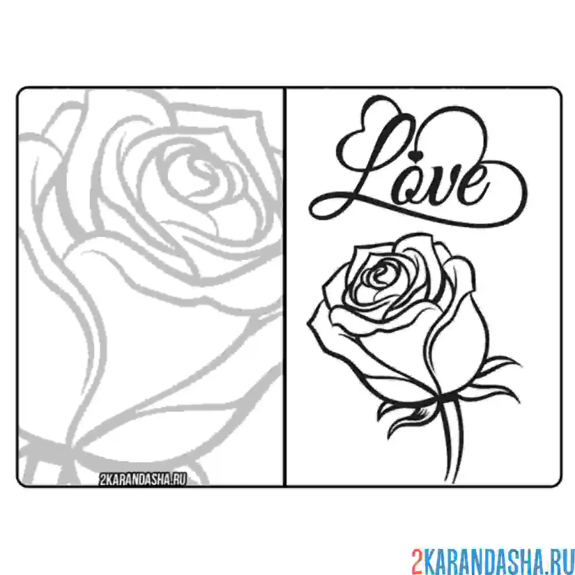 Раскраска открытка роза love