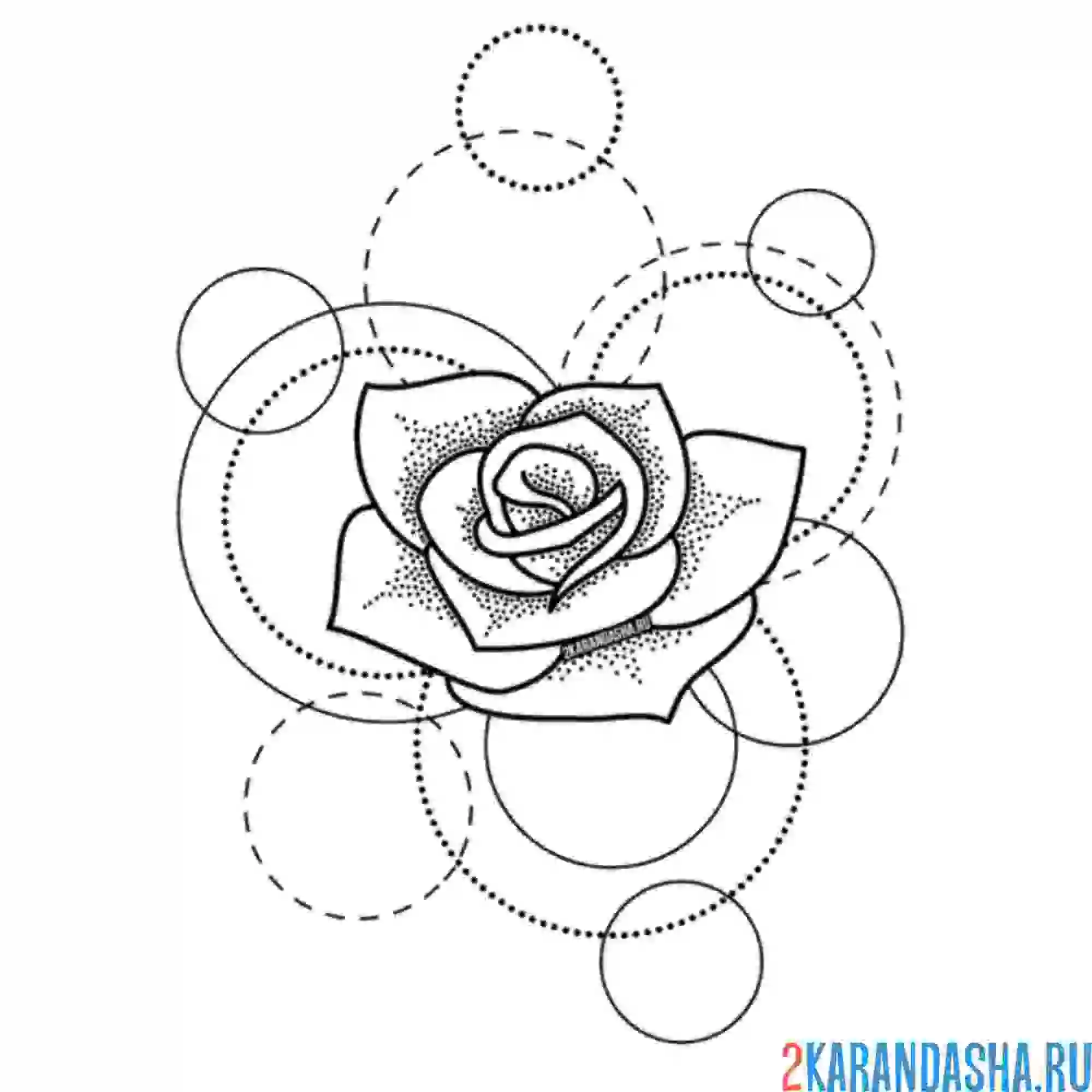 Раскраска роза и красивые узоры