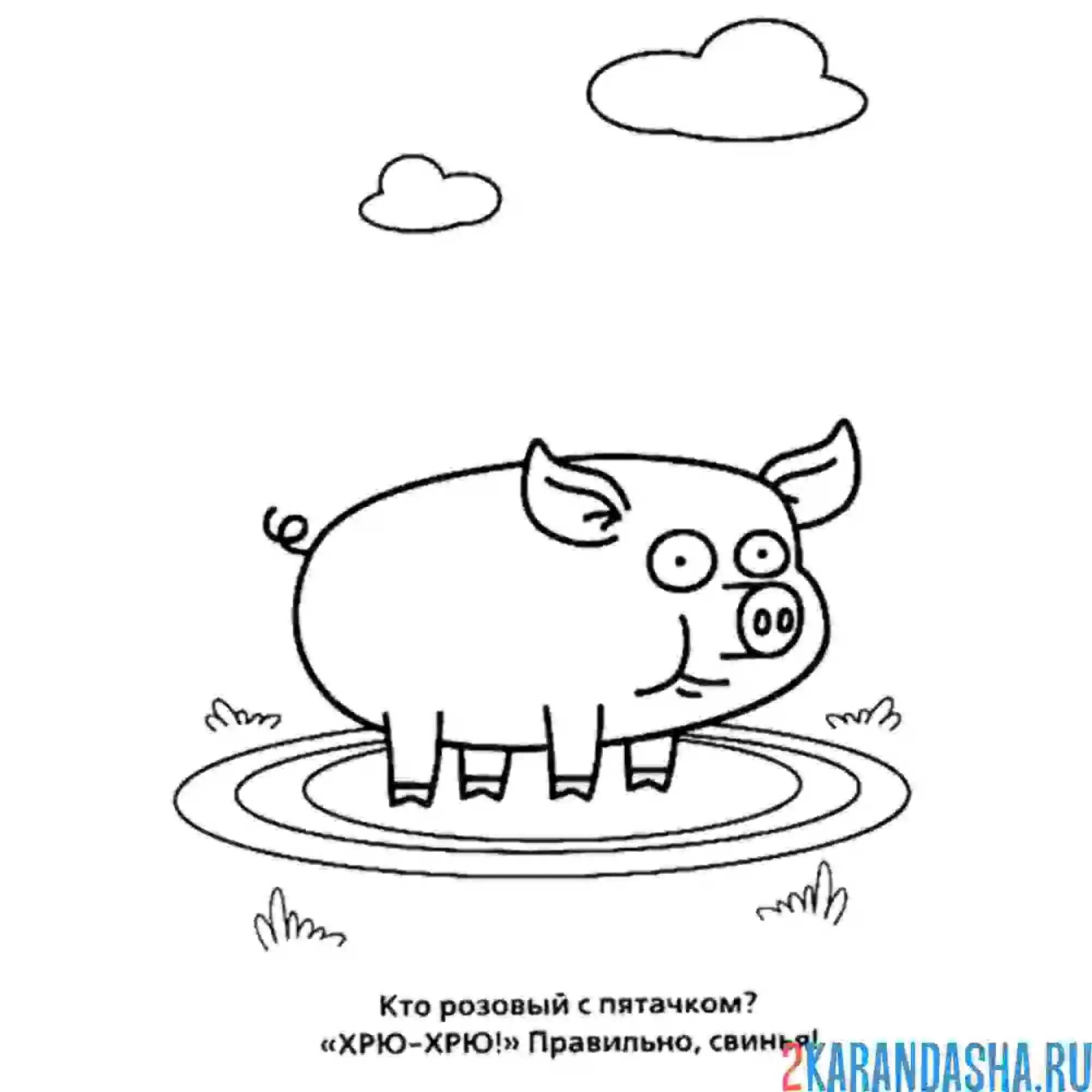 Раскраска хрюшка в луже