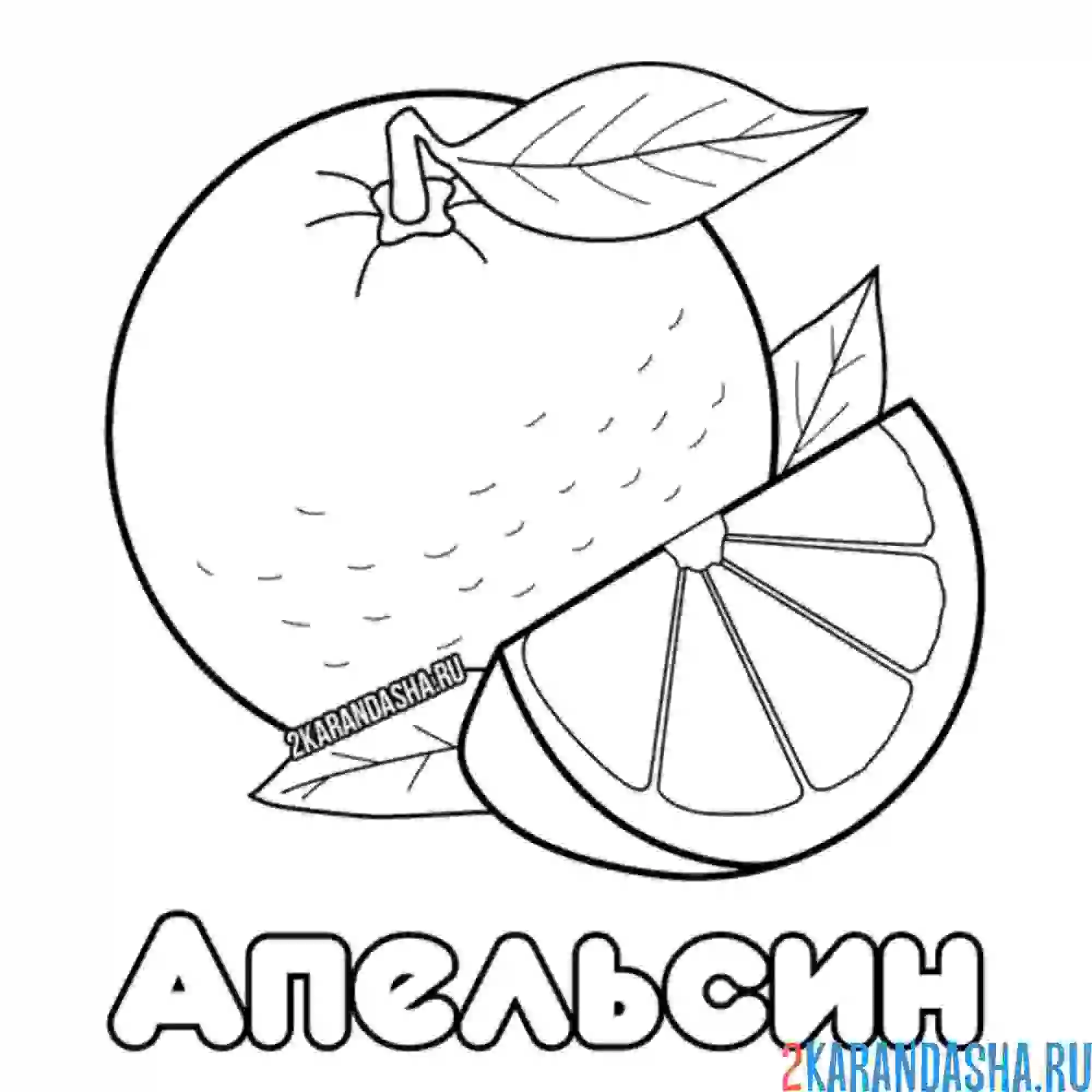 Раскраска апельсин с долькой