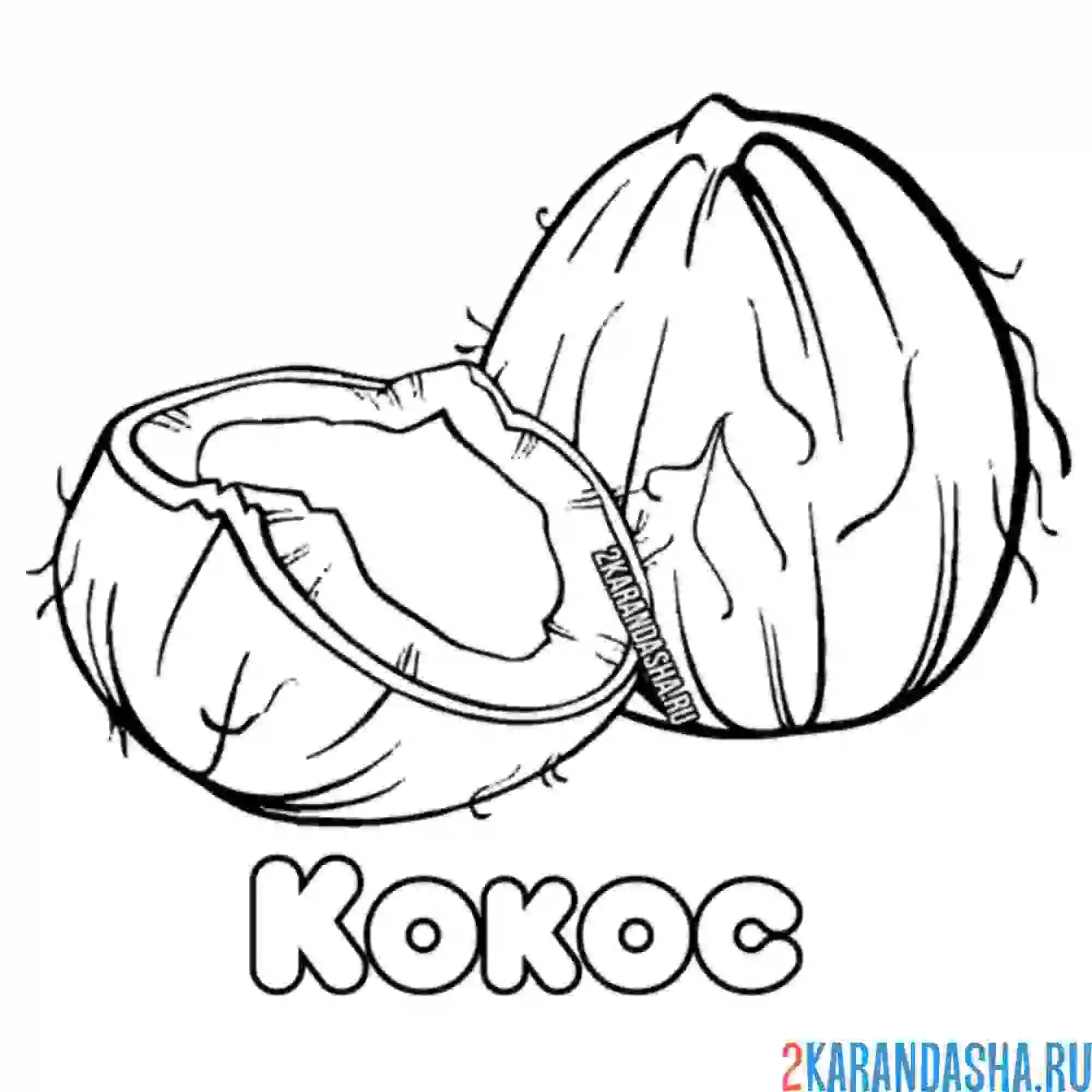 Раскраска кокос разбитый