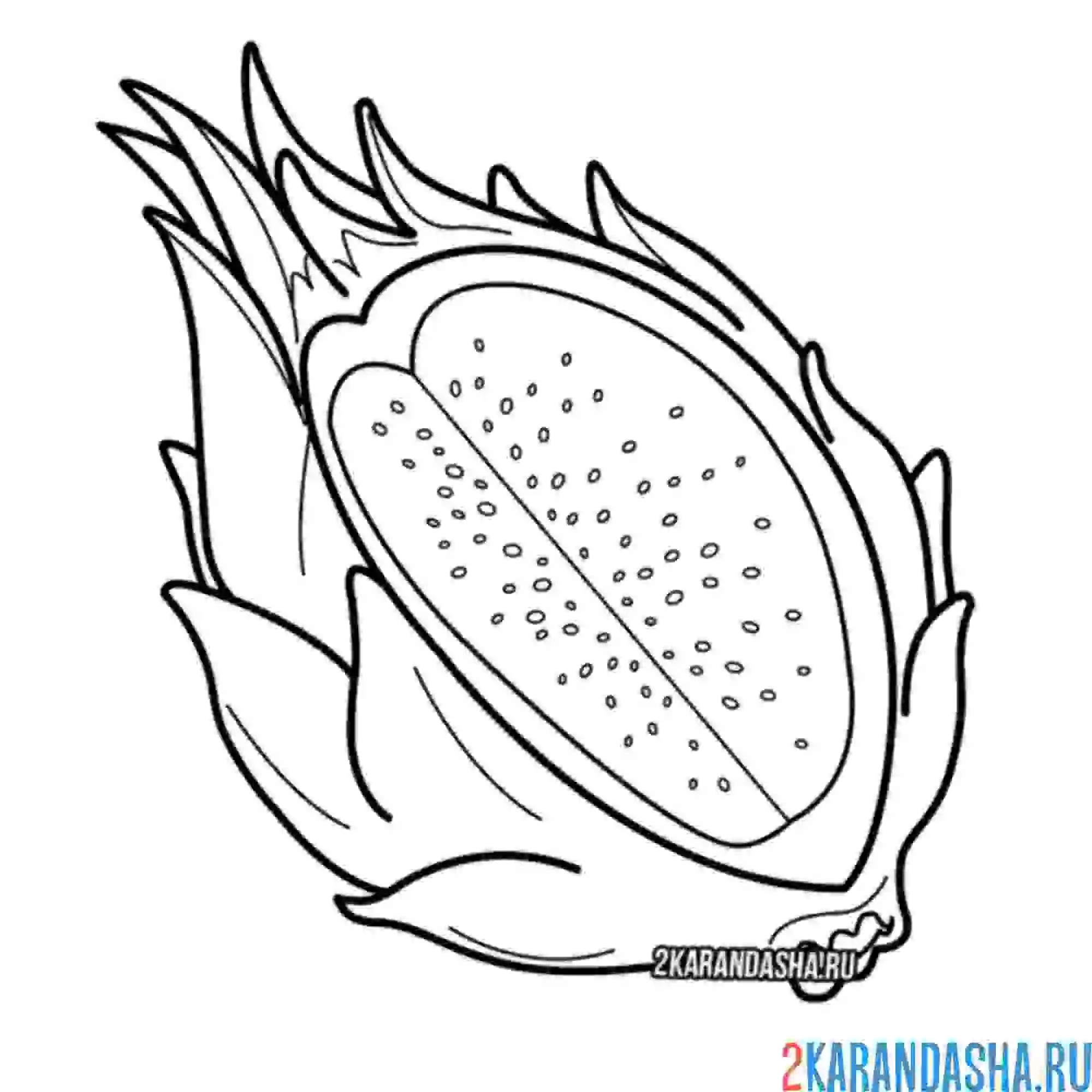 Раскраска драконий фрукт, питахайя