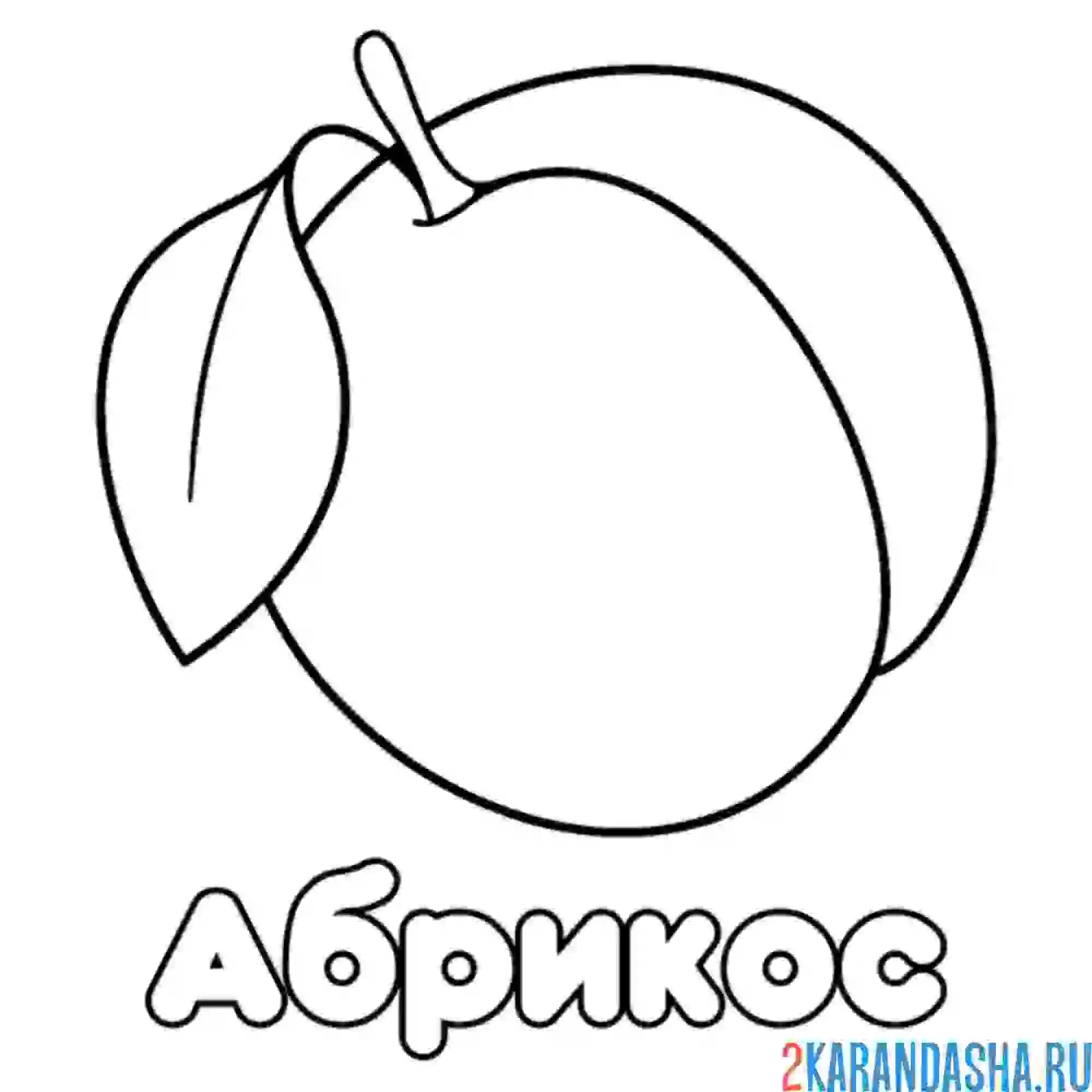 Раскраска абрикос с листочком